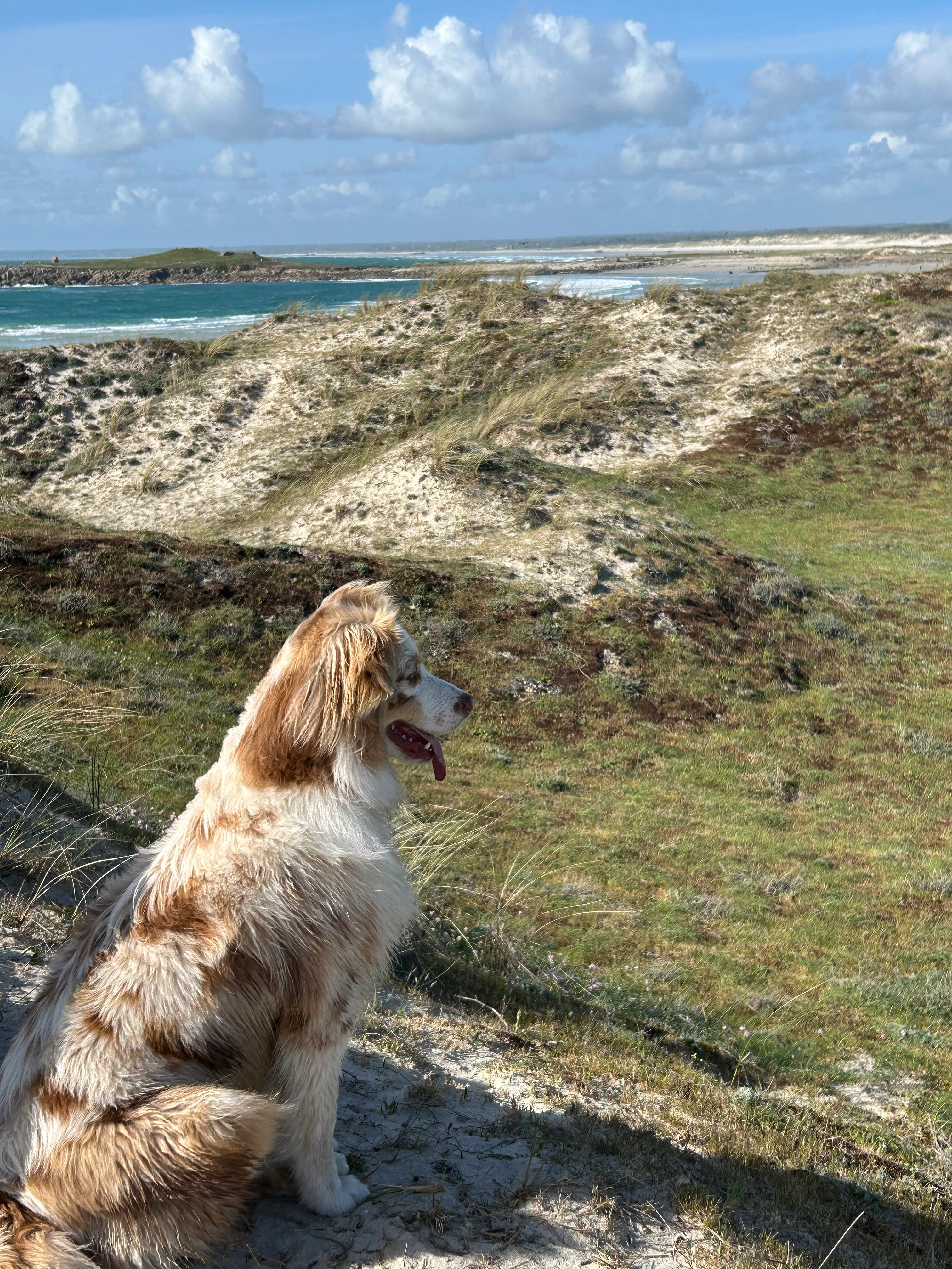 Valse - 171 Rue Paul Langevin, Penmarc'h