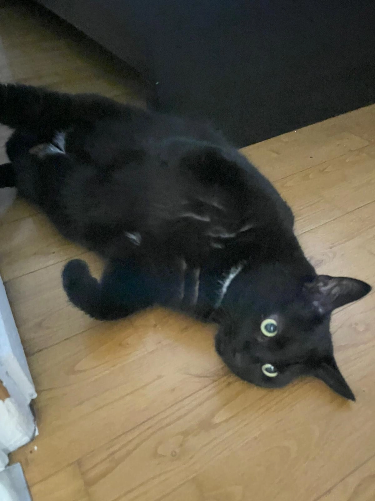 Rocky - 14 Rue de la Favorite, Lyon