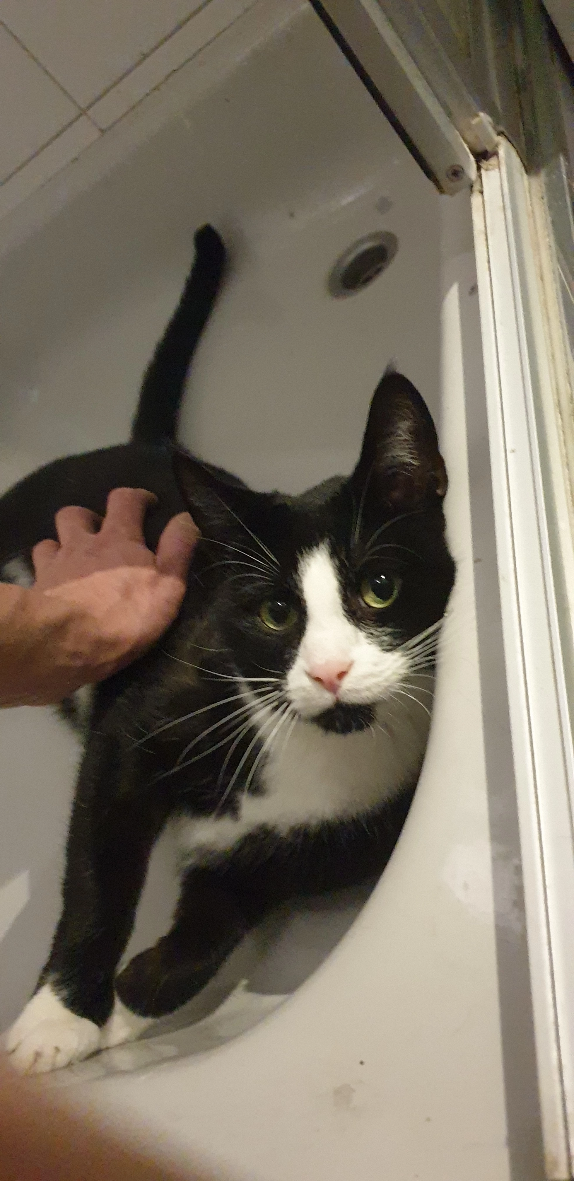 Balu - Lange Straße, Iserlohn