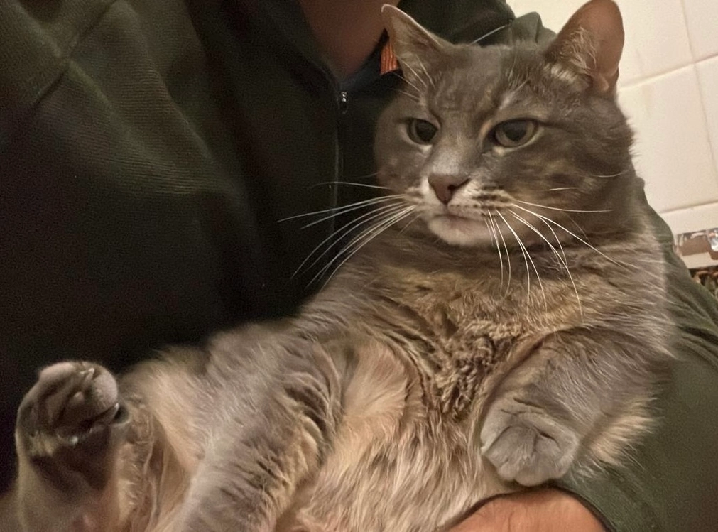 Santiago  - RH11 9, Crawley