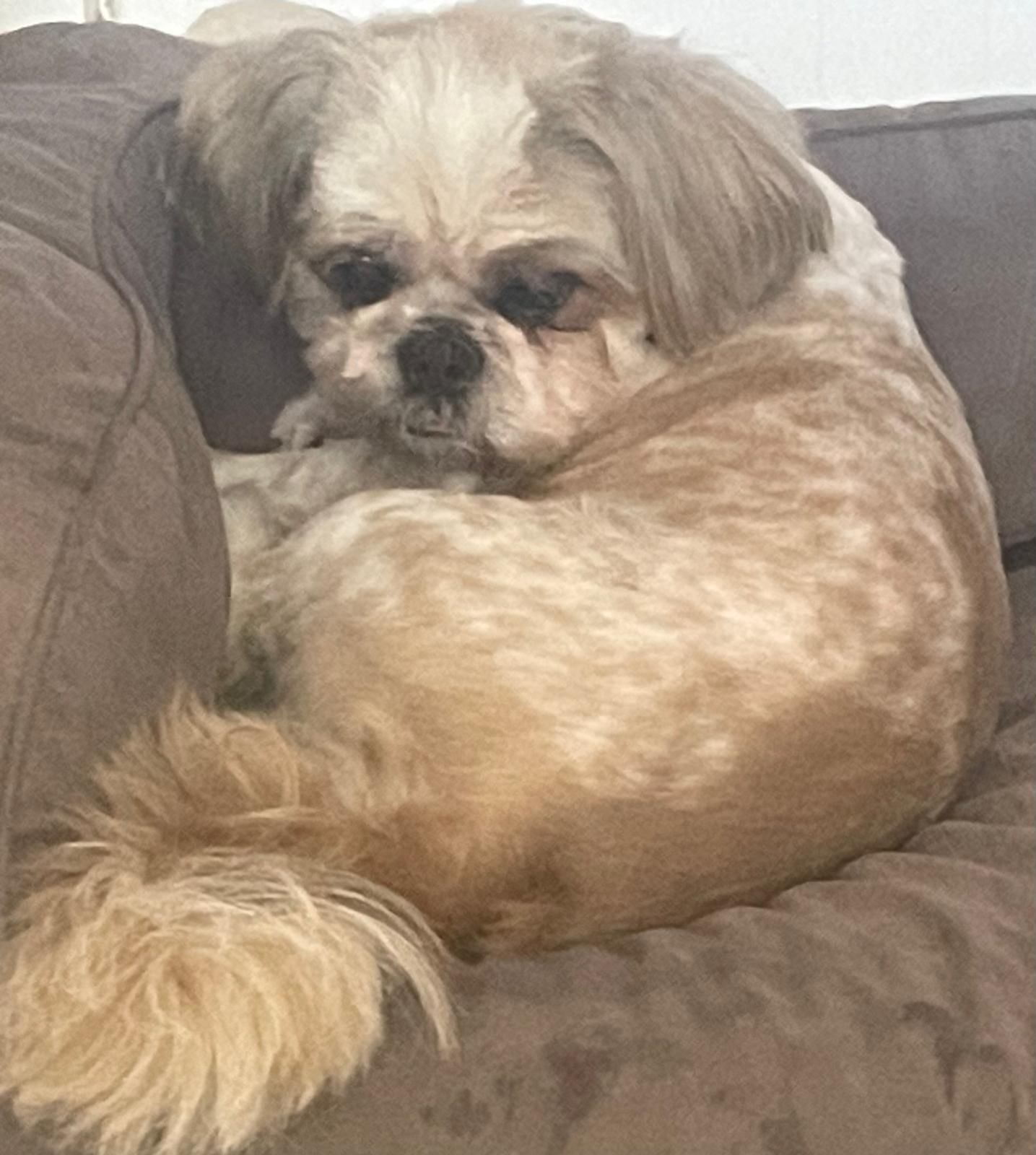 Iron - 71 Chemin de la Paveigne, Toulon