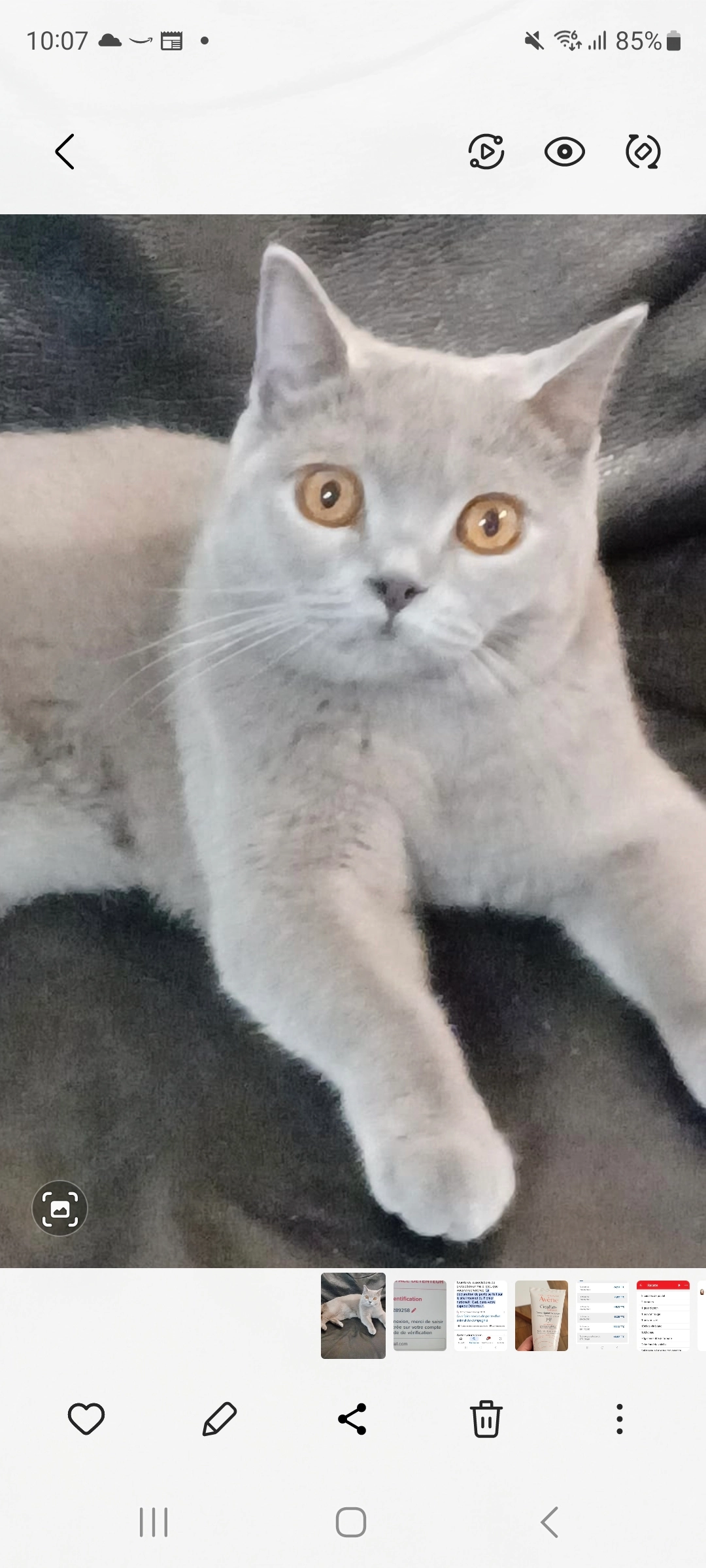 Heaven - 14 Rue du Général Bérenger, Cagnes-sur-Mer