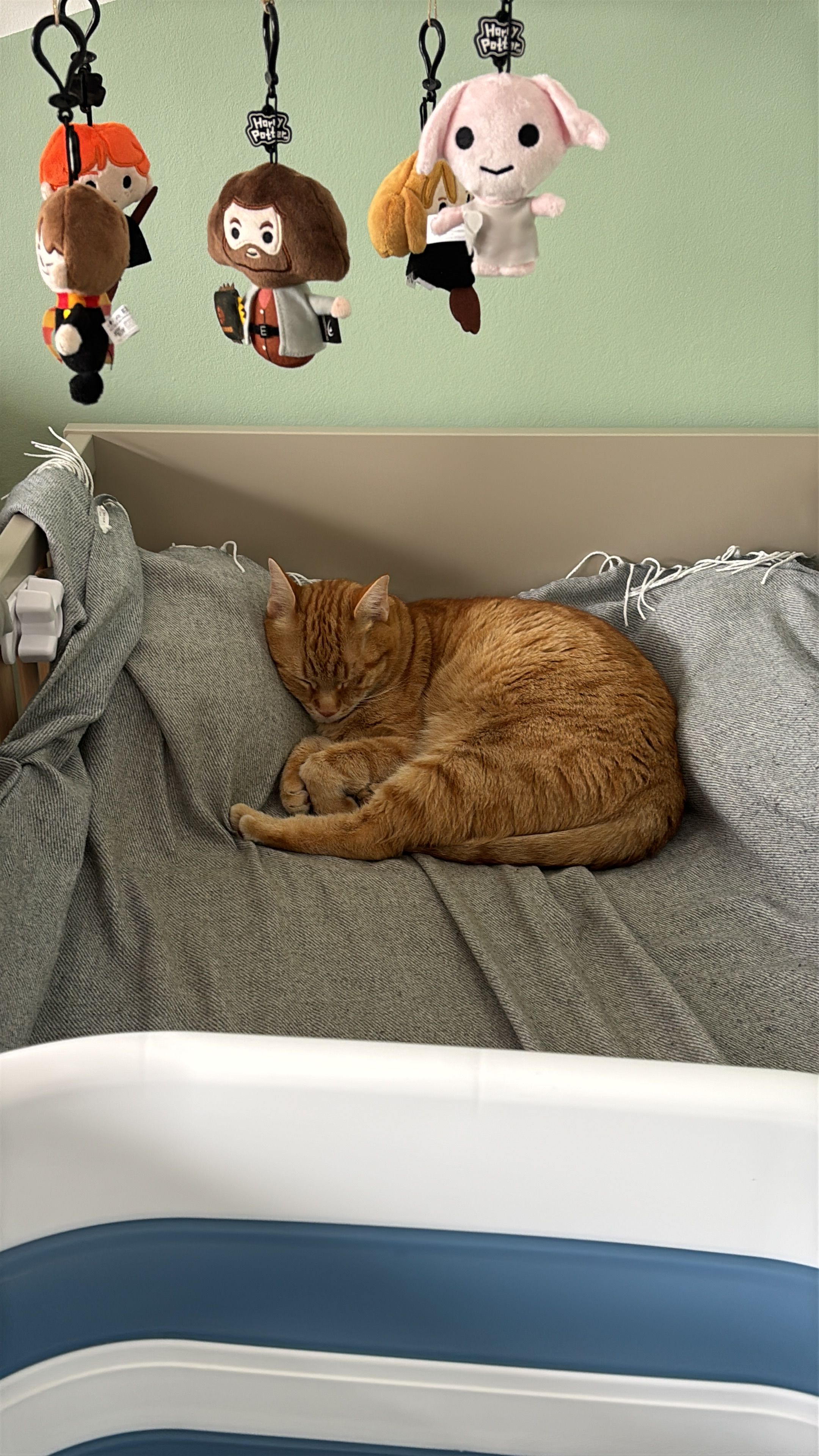 Fridolin - Am Hirschfeld, Neusiedl am See