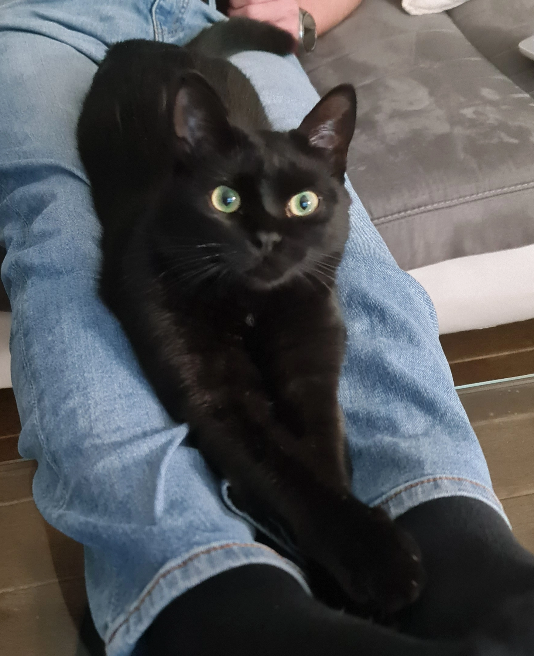 Mystère  - Rue de Laubanne, Le Cendre