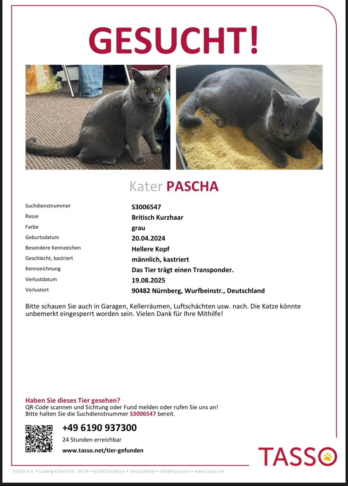 Pascha - Ostendstraße, Nürnberg