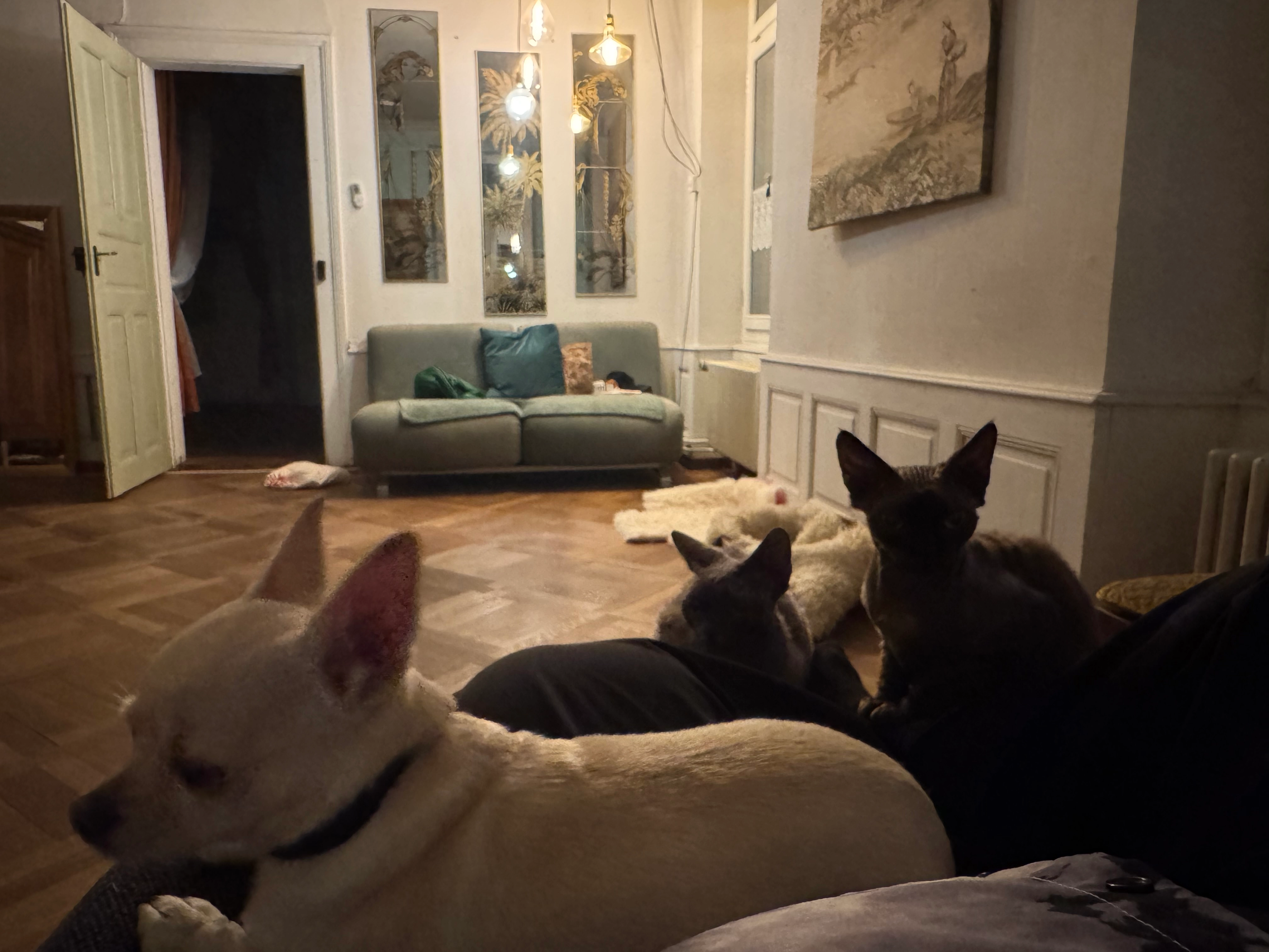 lucy - Hohle Messe, Thun