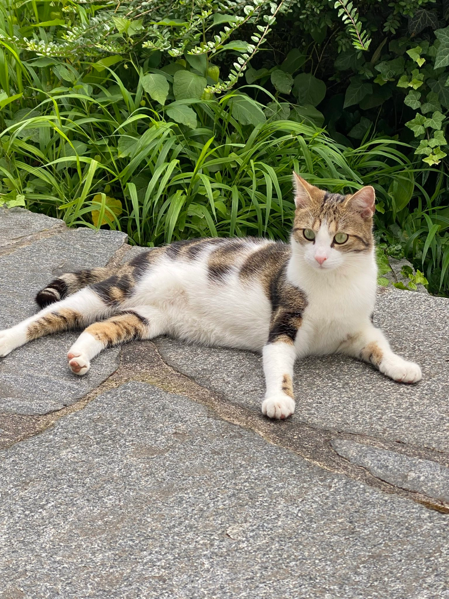 Lalo - Sanserweg, Leimen