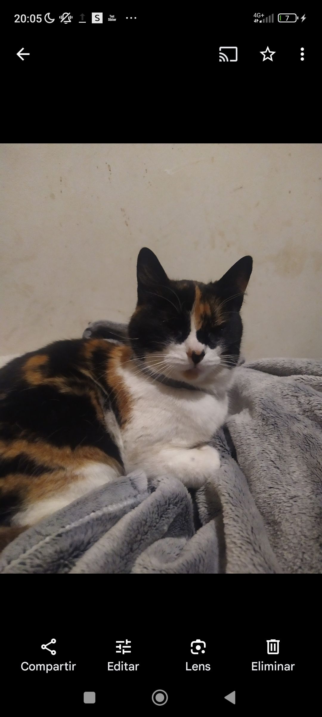 Julietta - Lg Castrillon, Boal