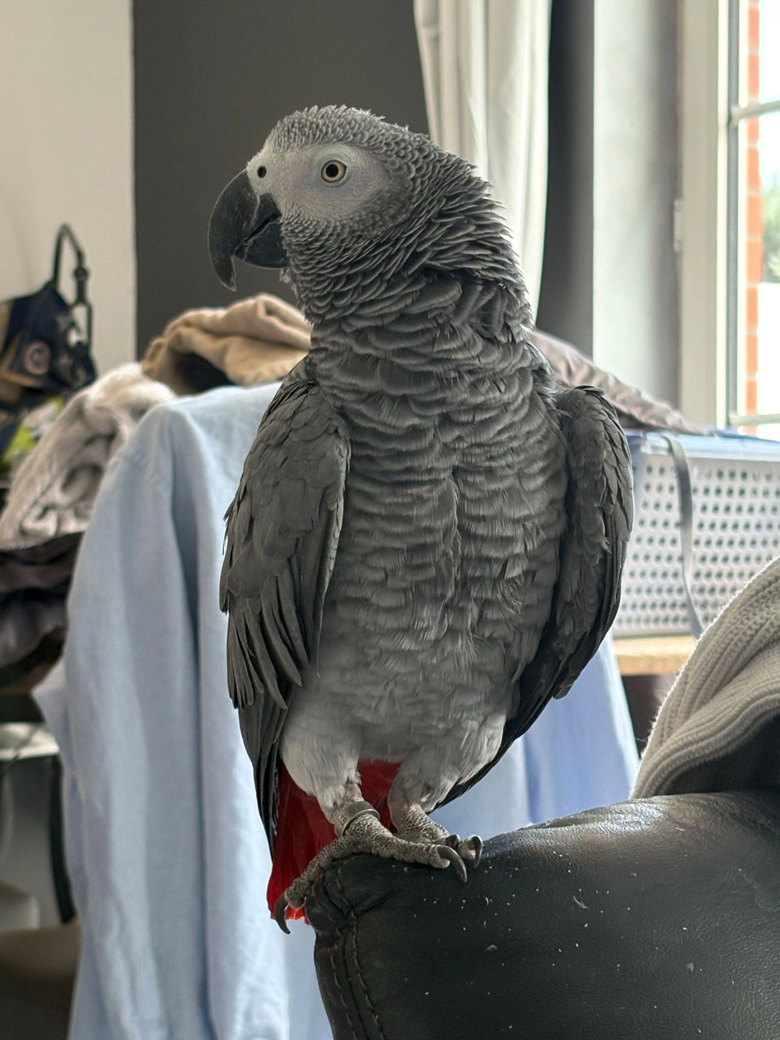 Fergie  - Rue De La Chapelle, Soumagne