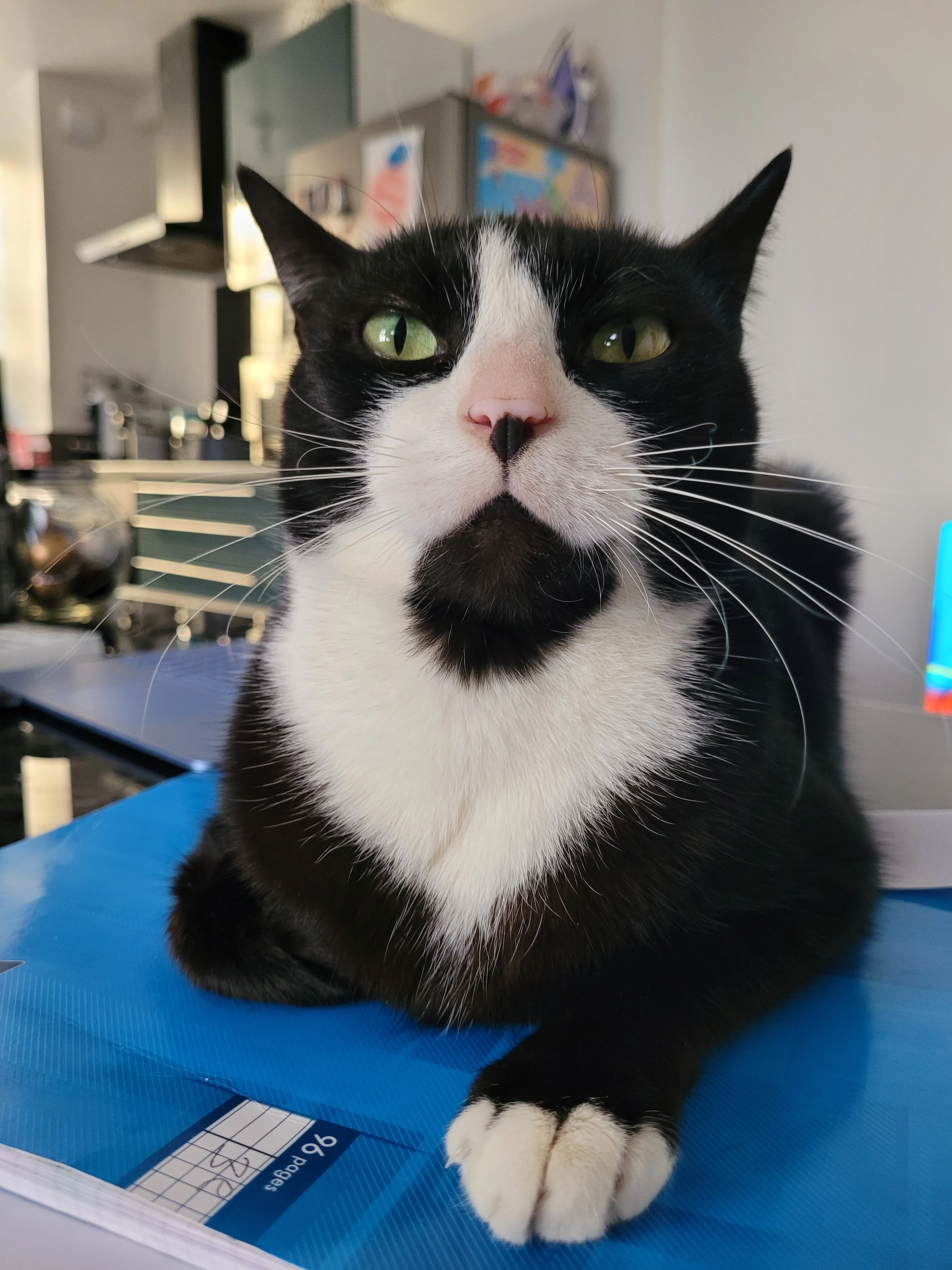 Newton - Rue de la Pallud, Grésy-sur-Isère