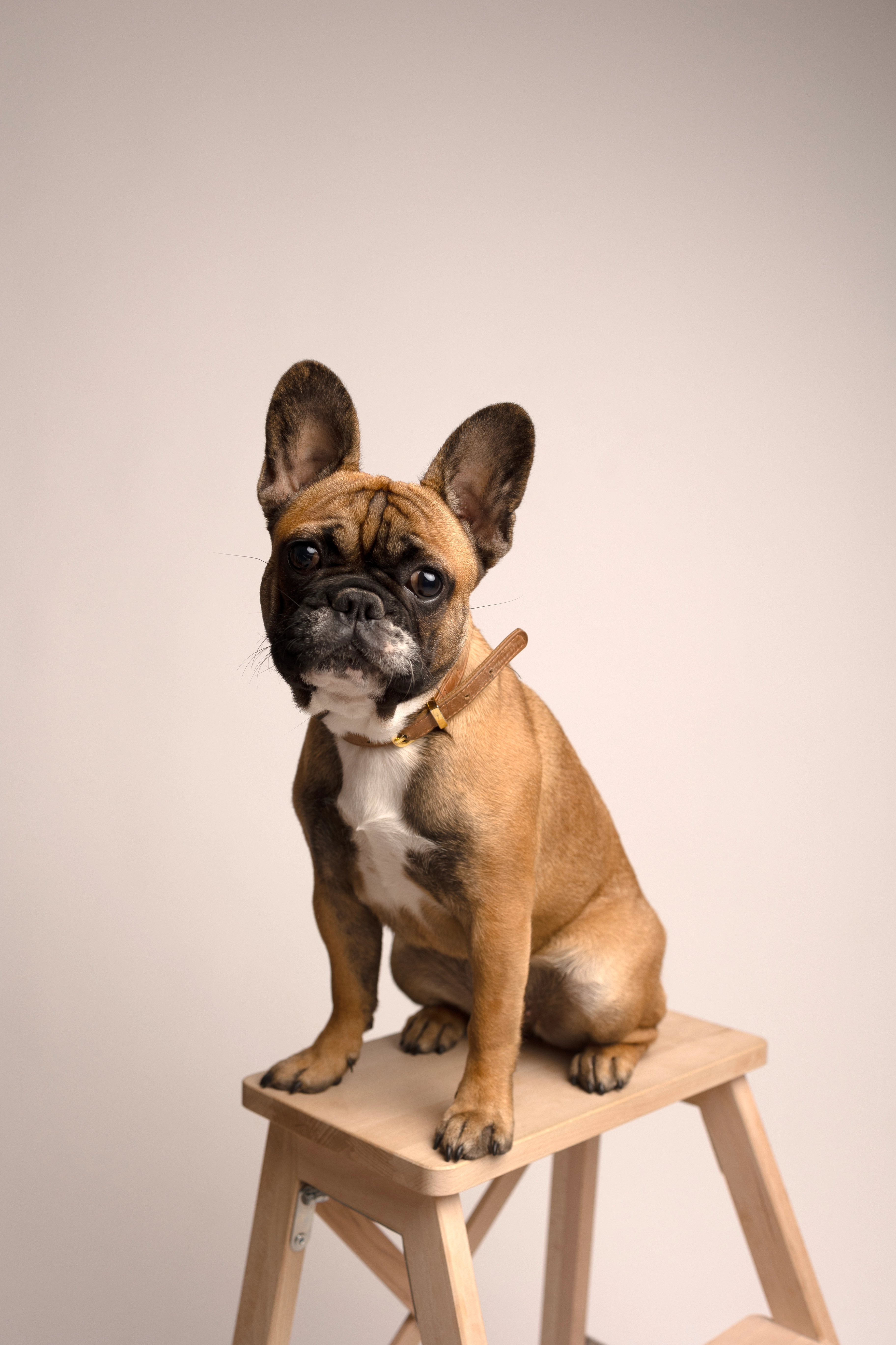 Tania - Rua da Escola 10, Aguieiras