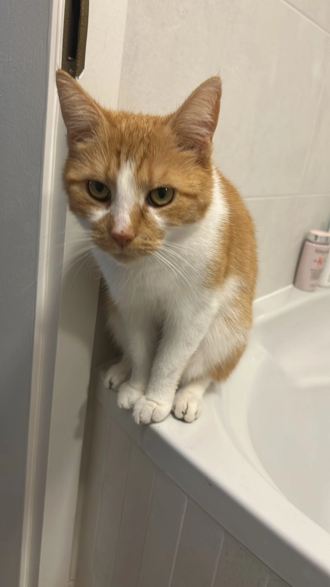 Alfi - Lange Straße, Hagenow