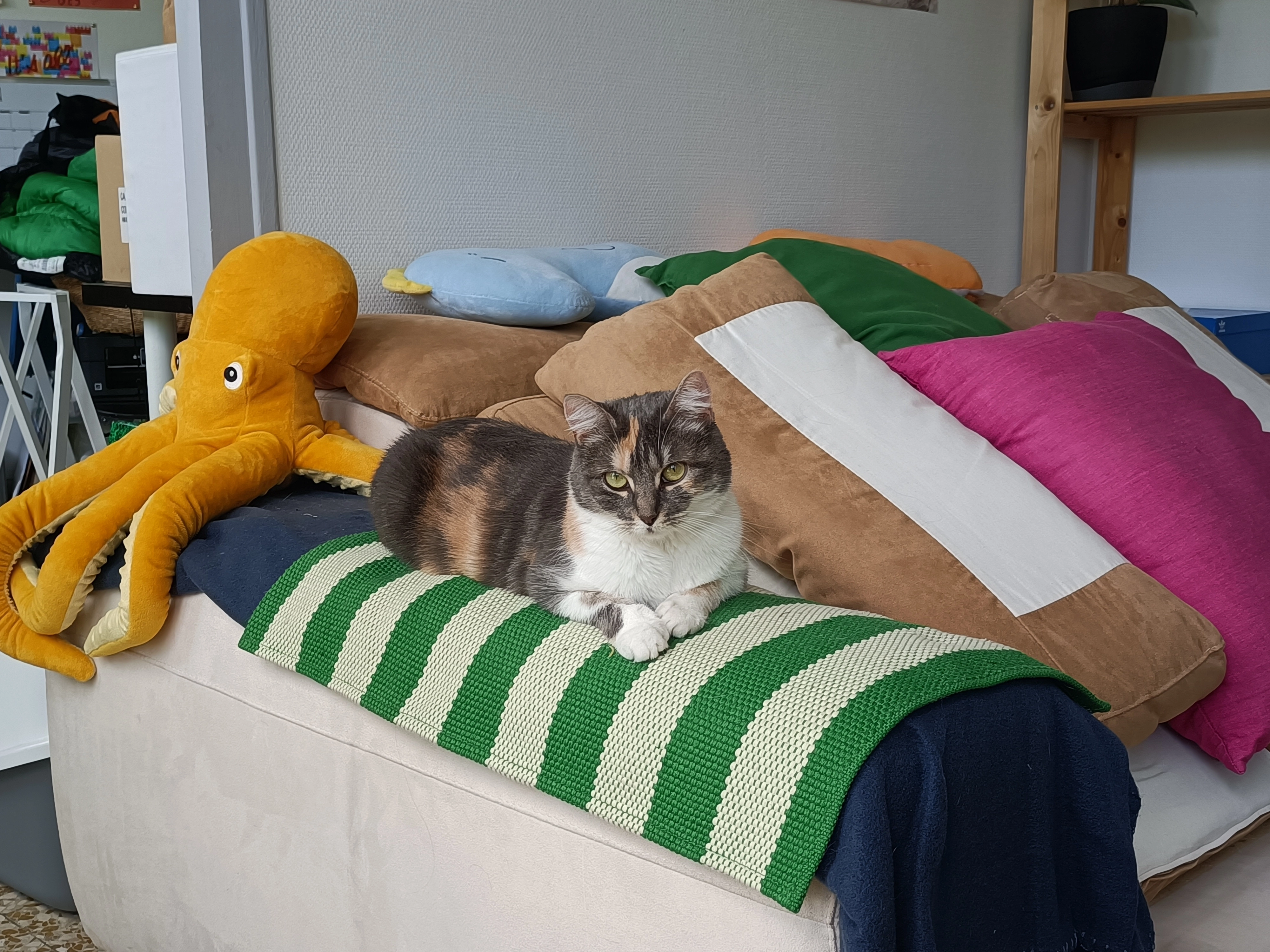 Mei - 11 Boulevard Clemenceau, Grenoble