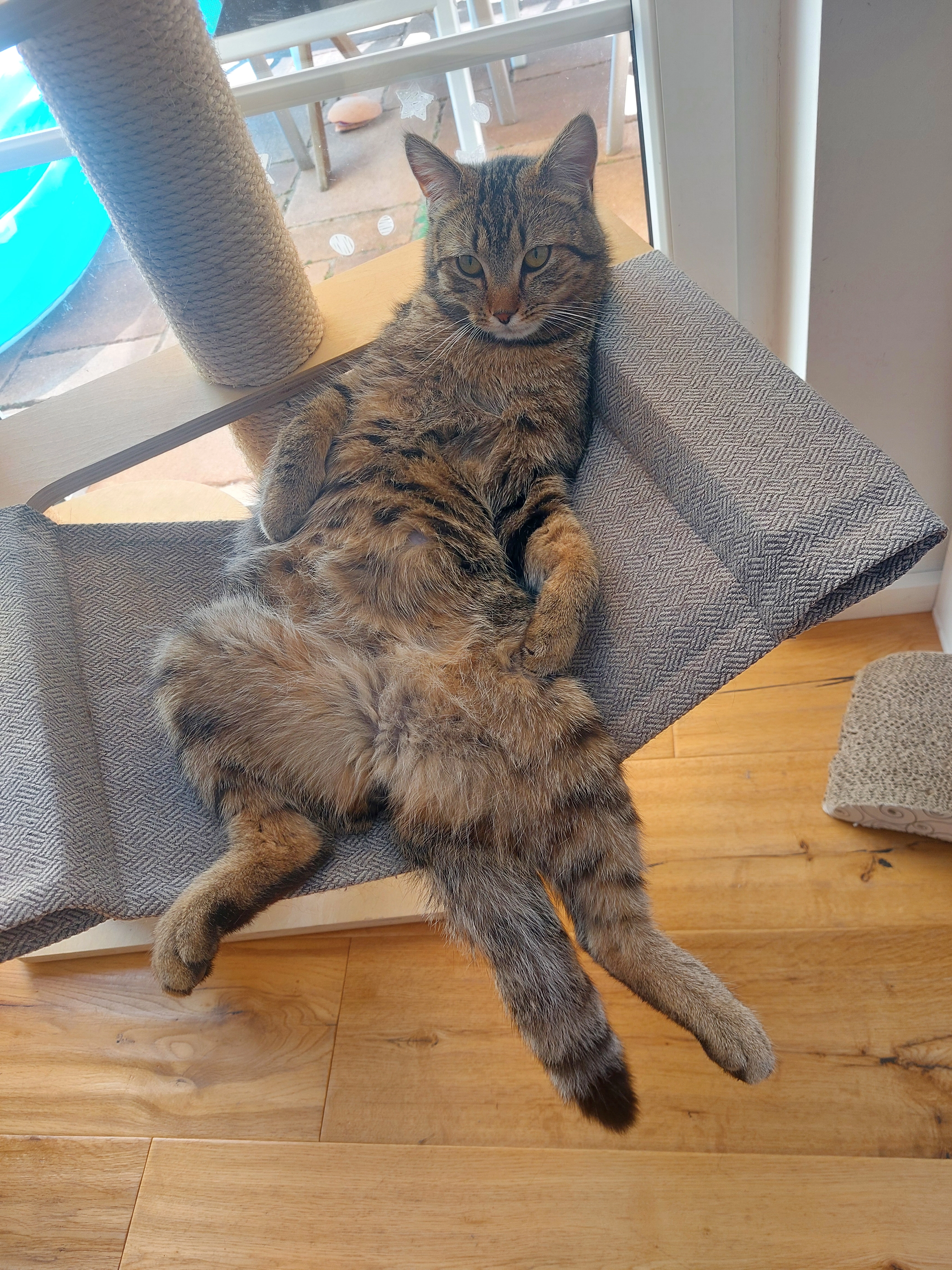 Rocket  - Jenaer Straße, Pohlheim