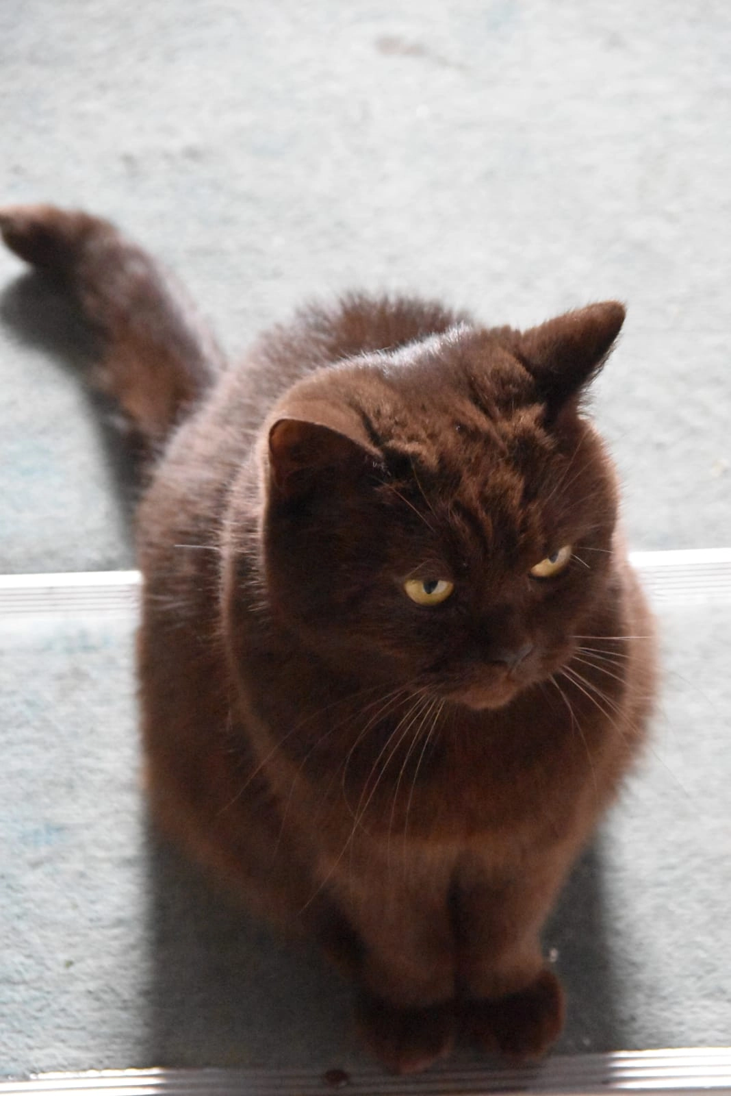 Lotta - Moritzplatz, Finsterwalde