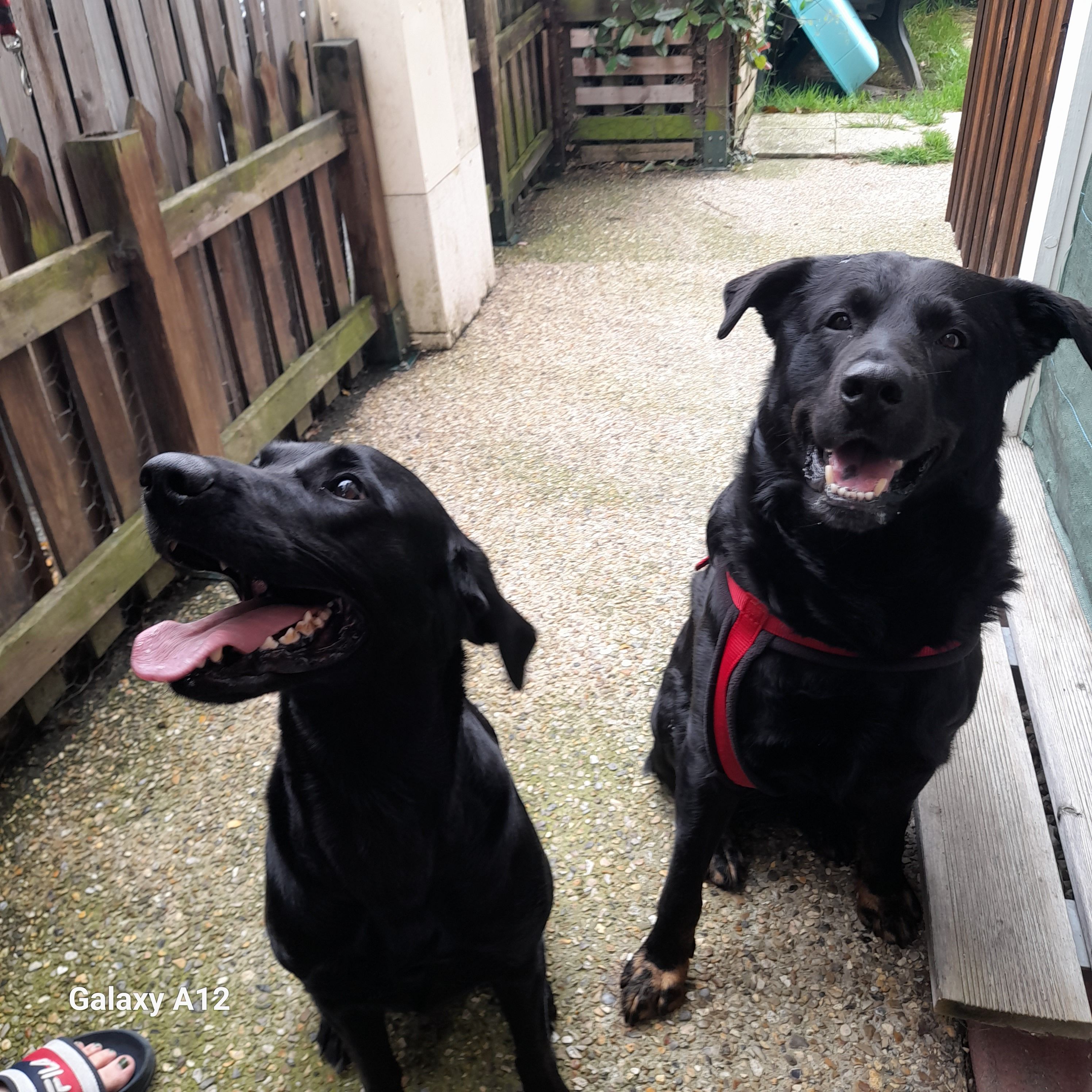 Nox - Route de la Petite Campagne, Manneville-la-Raoult