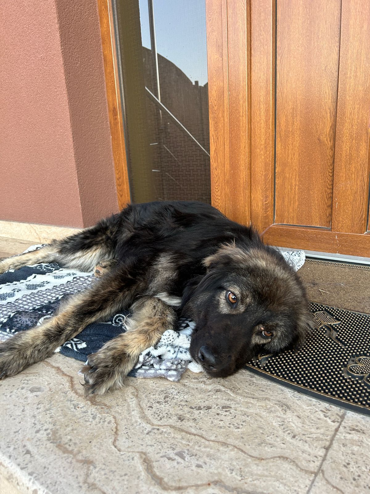 Blacky - Dj107k, Galda de Jos