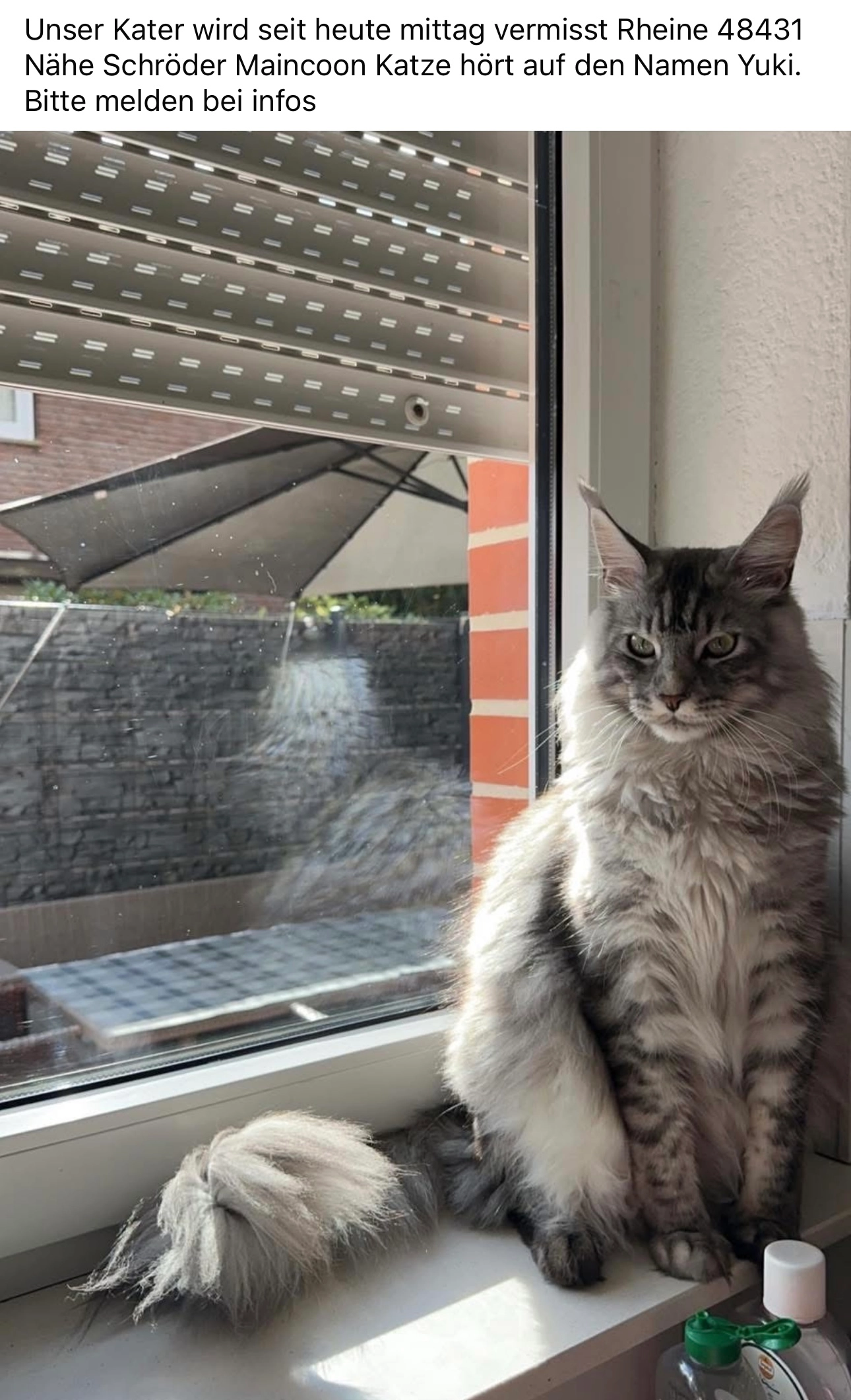 Yuki - Rubensweg, Rheine