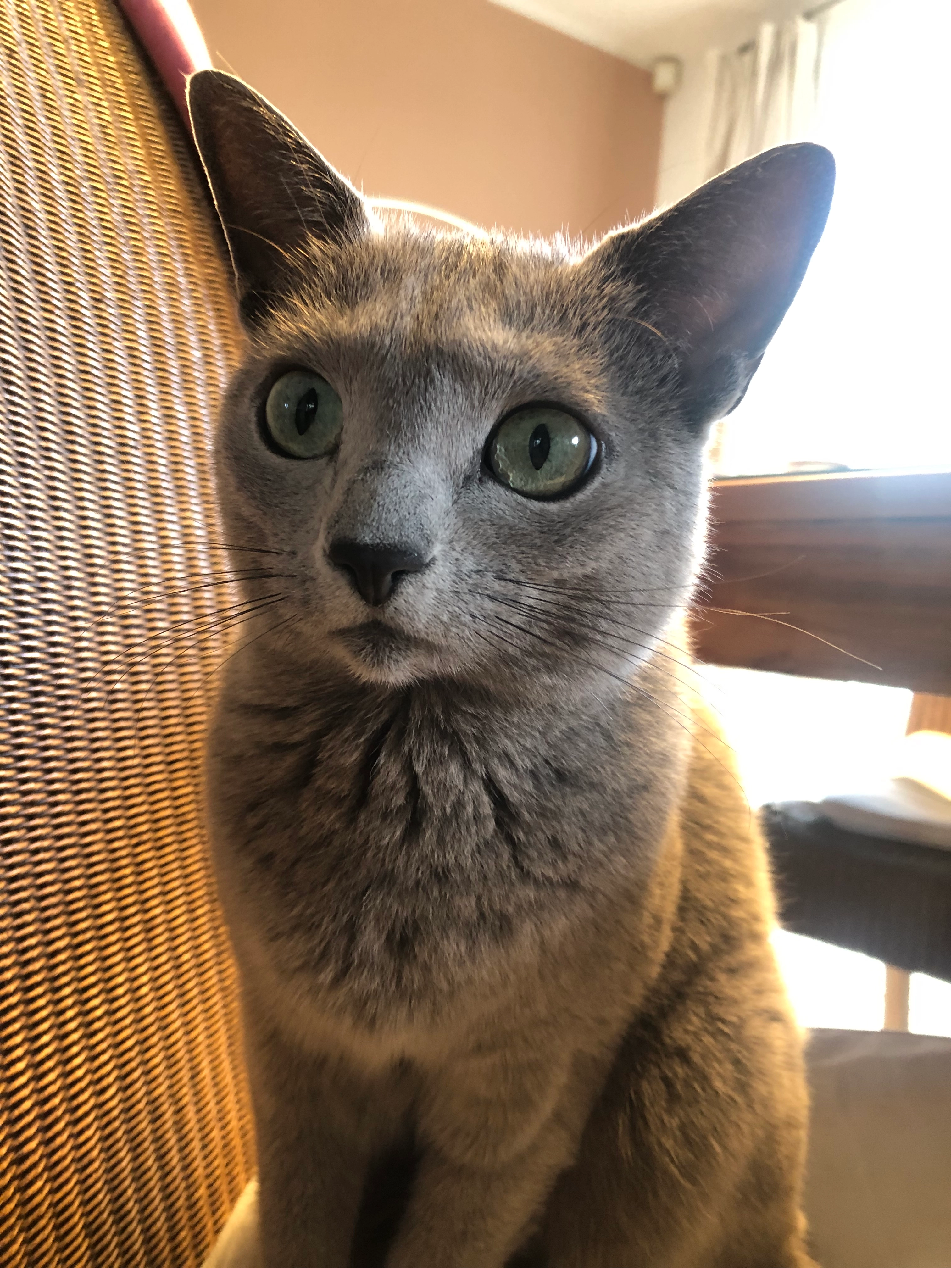 Nahla - Max-Halbe-Straße 39, Hamburg