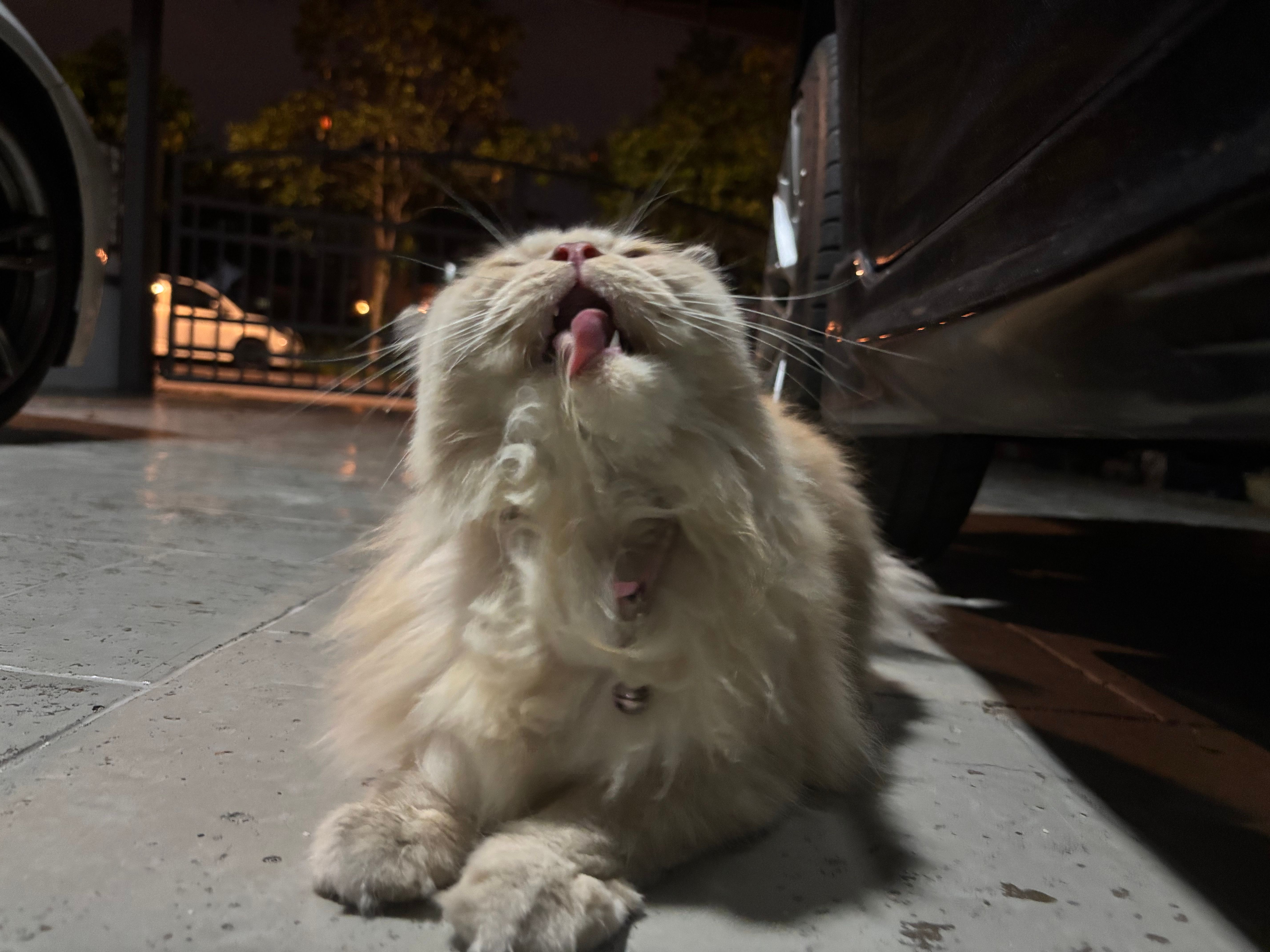 ochi - Jalan Kristal, 7/66, Seksyen 7, Shah Alam