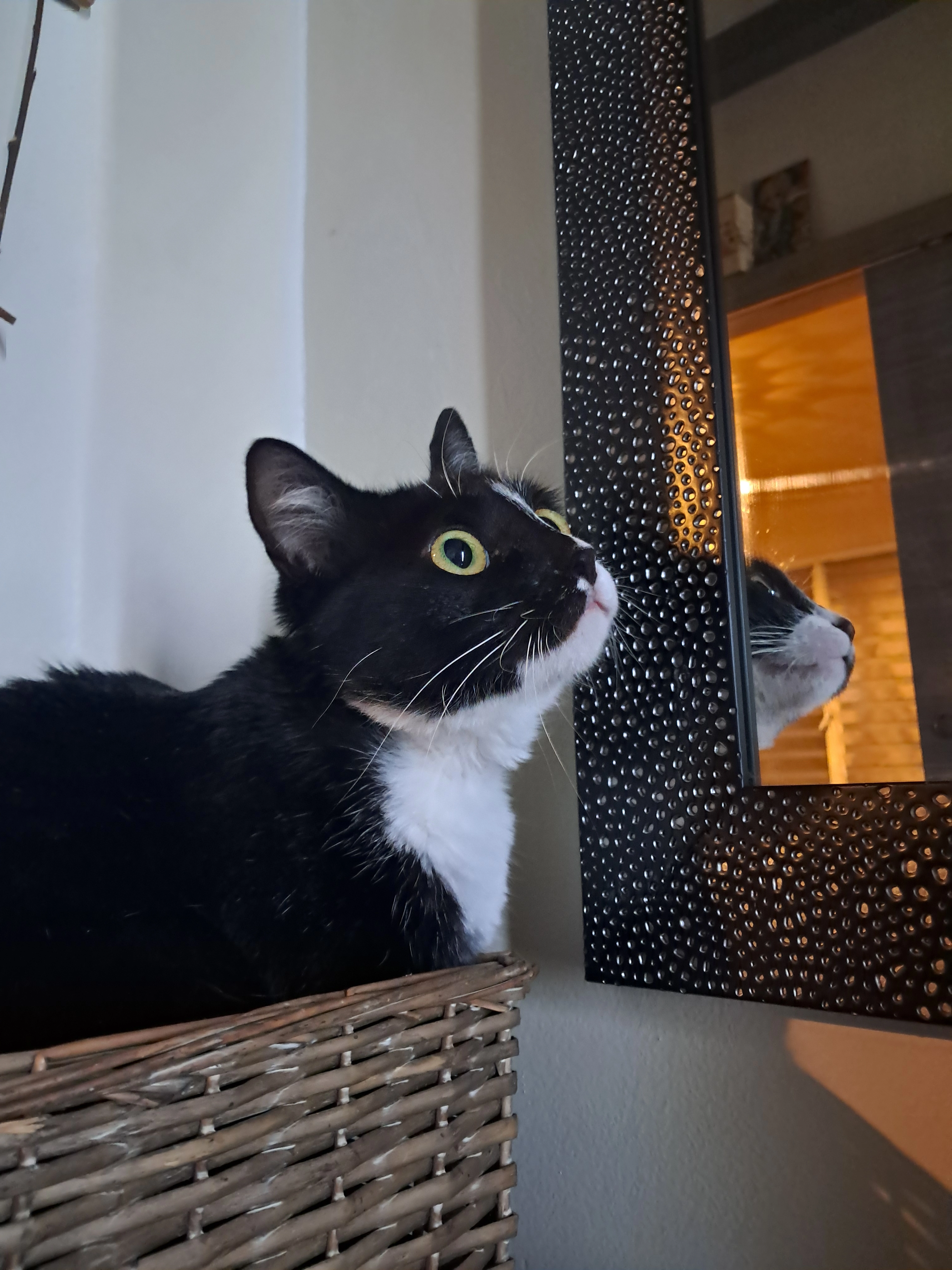 Fripouille - 6 Rue Olof Palme, Le Grand-Quevilly