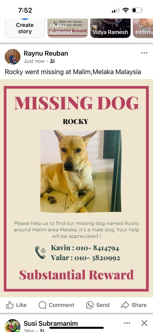 Rocky - Jalan Malim, Balai Panjang