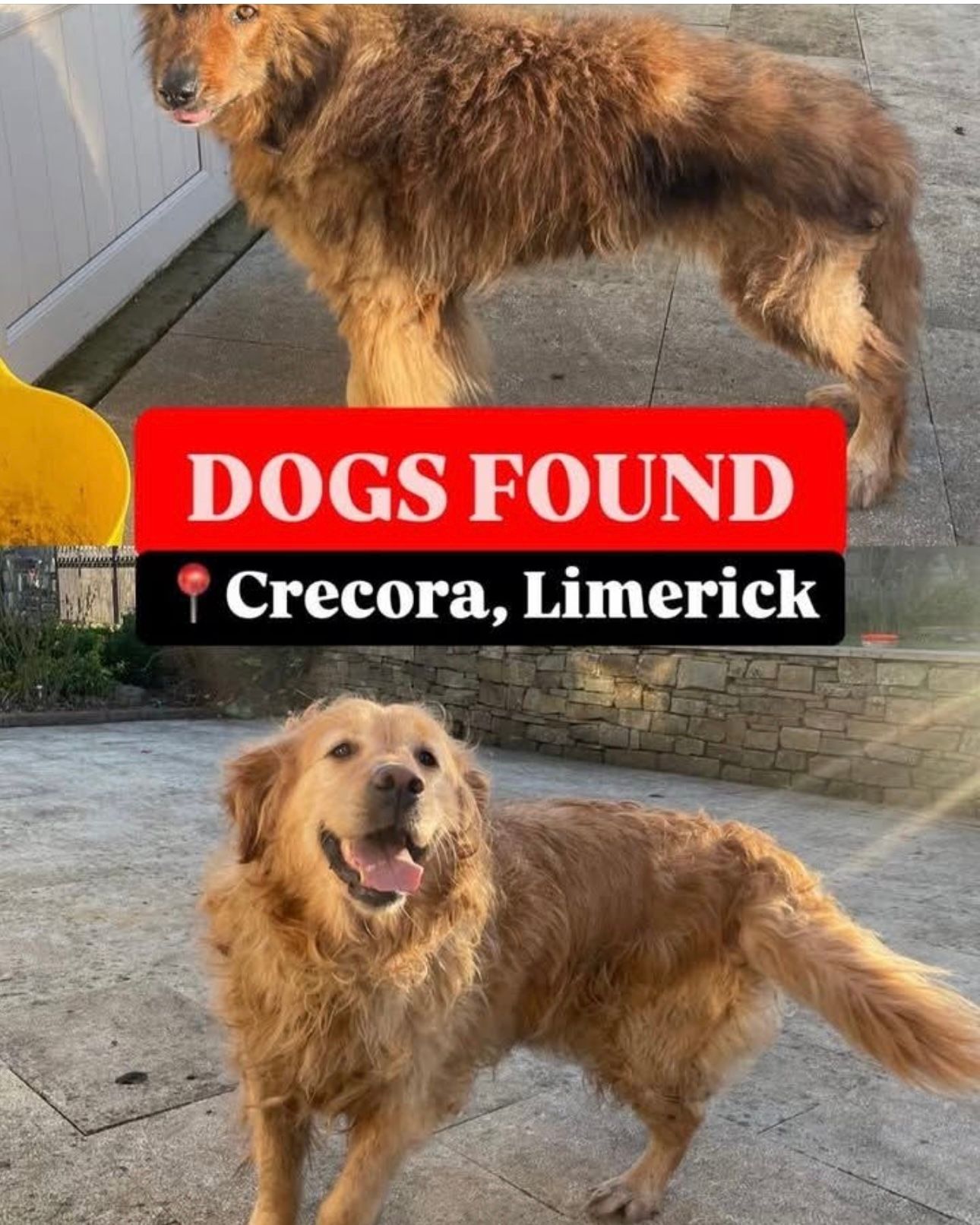 Cooper  - L8003, Kilpeacon