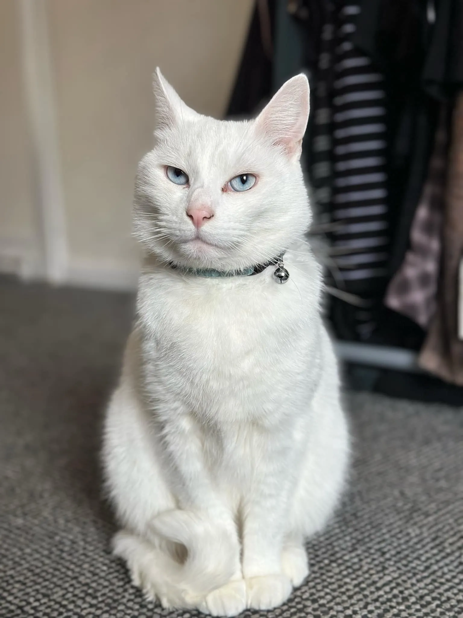 Thomas - Pelham Road, Cowes