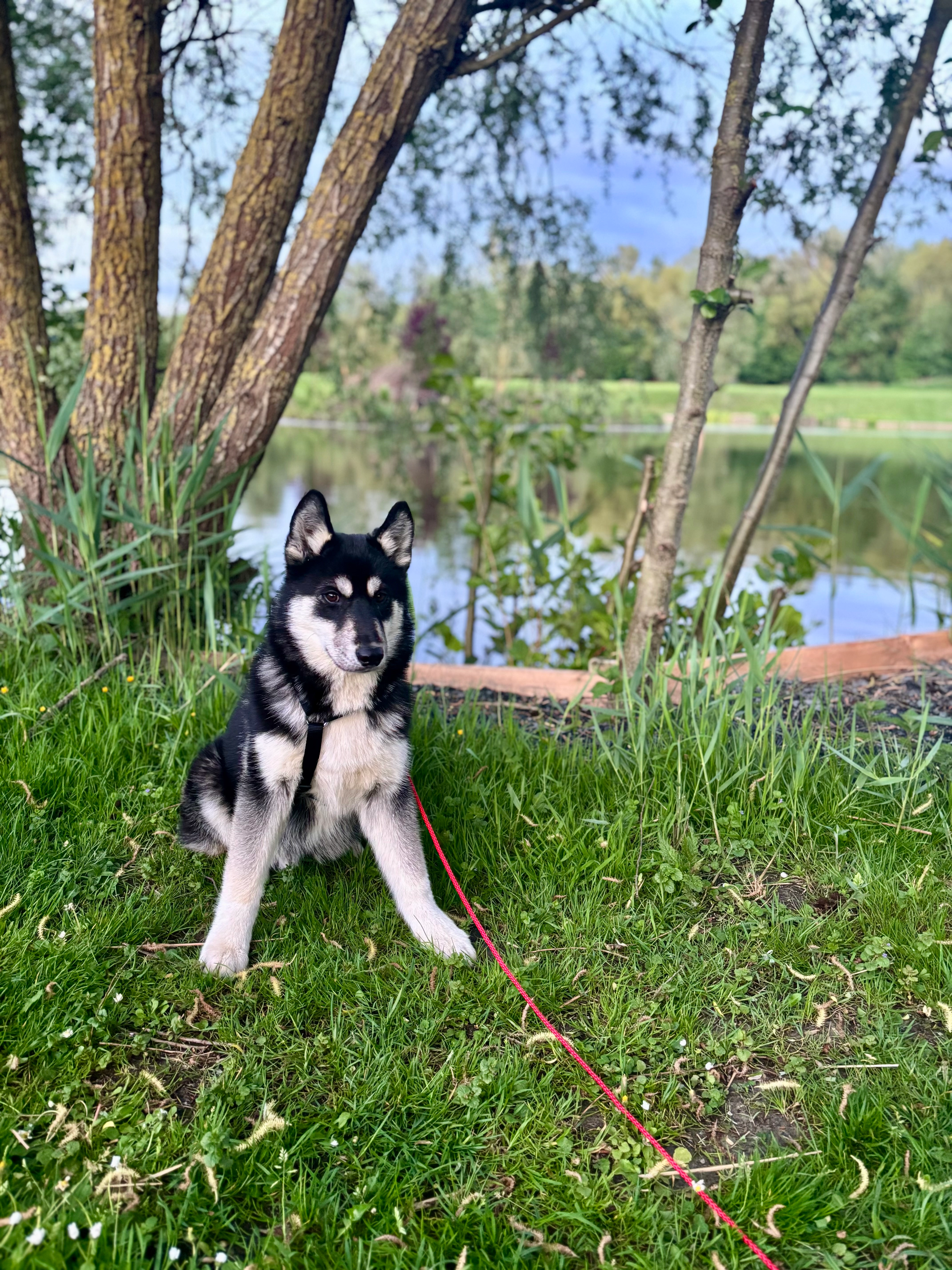 Arès  - 2 Allée des Marronniers, Bruay-sur-l'Escaut