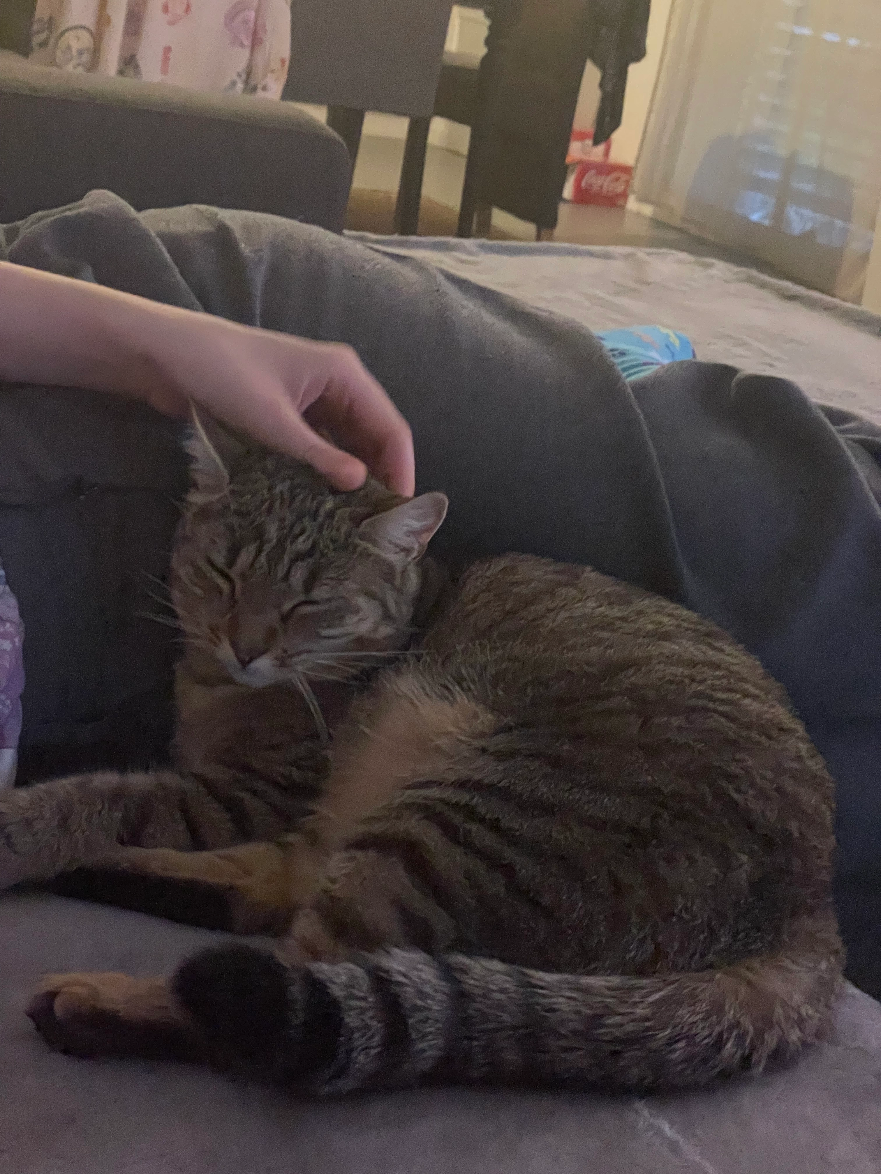 Maki - Chemin du Milieu 77, Martigny