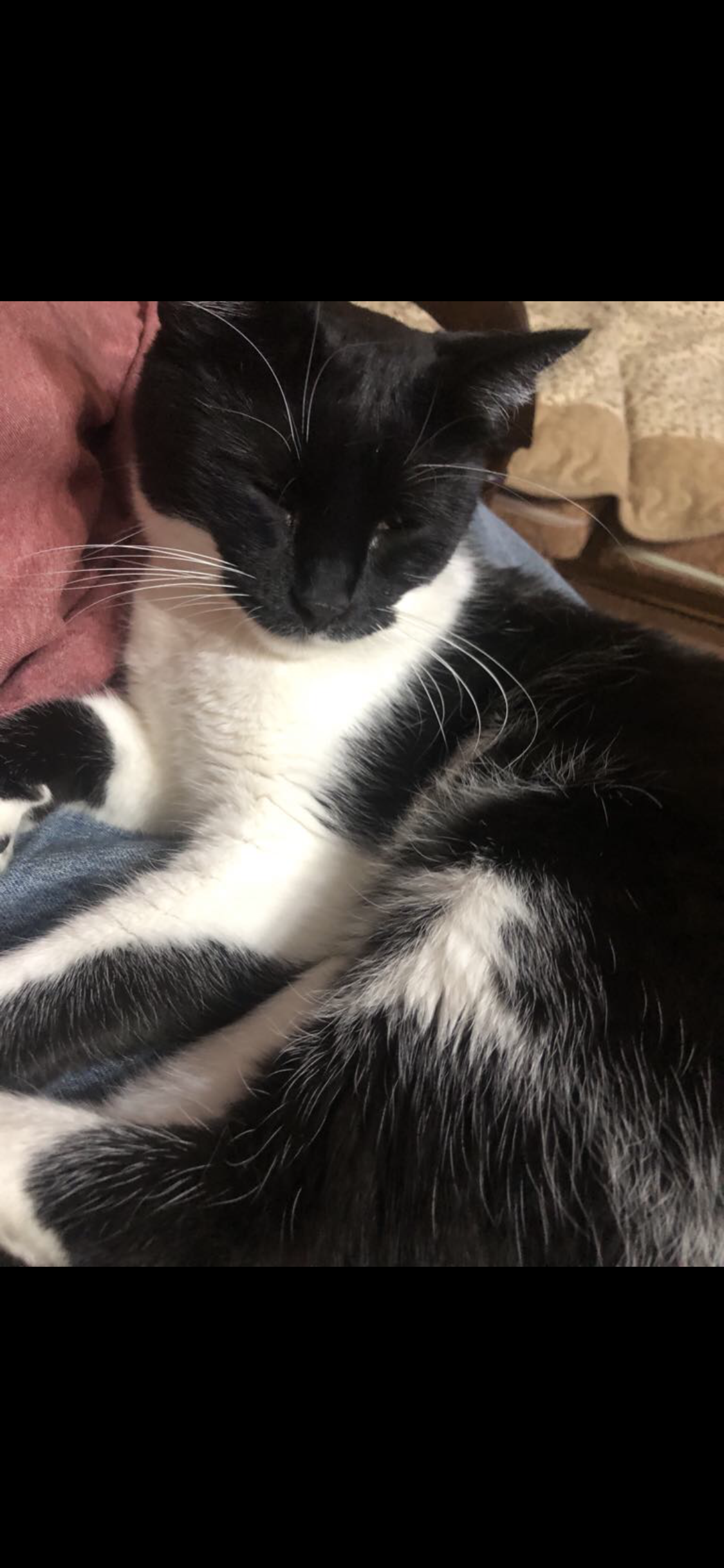 Panda - Rruga Thimi Mitko, Prishtinë