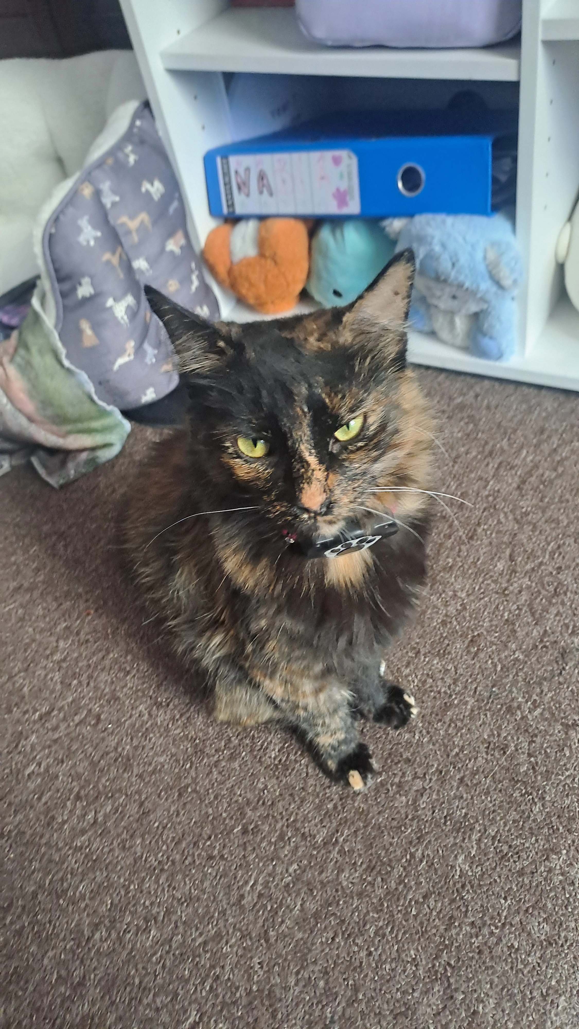 NOT DISCLOSED - Stocks Road, Preston