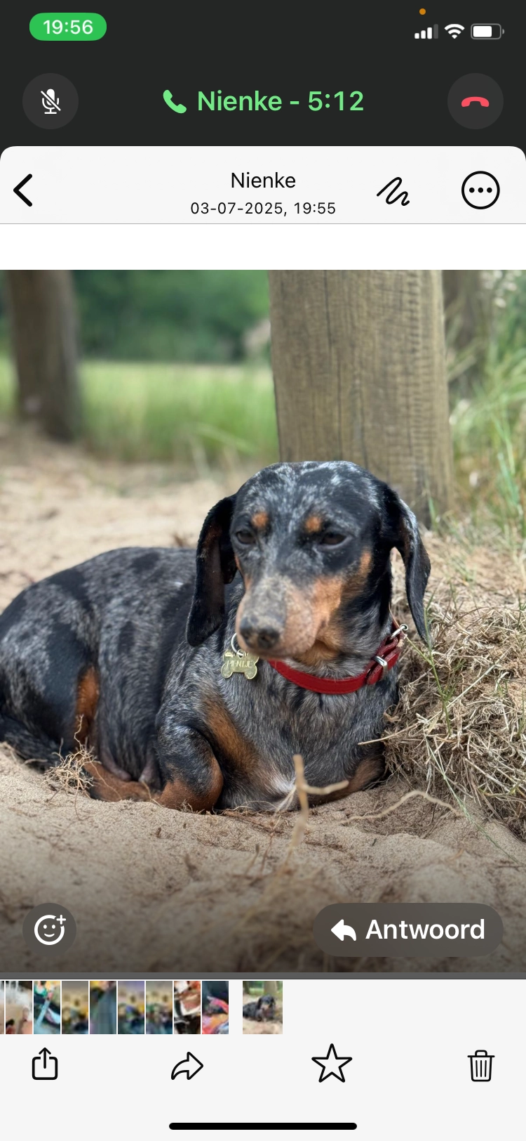 Pien - Haydnlaan, Groningen