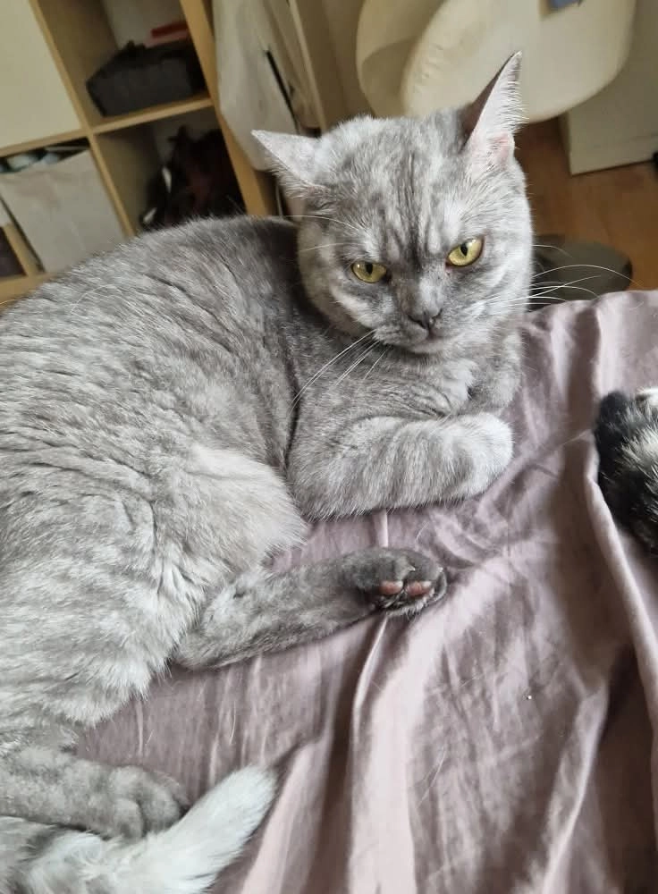 Sandro  - Südring, Hamm