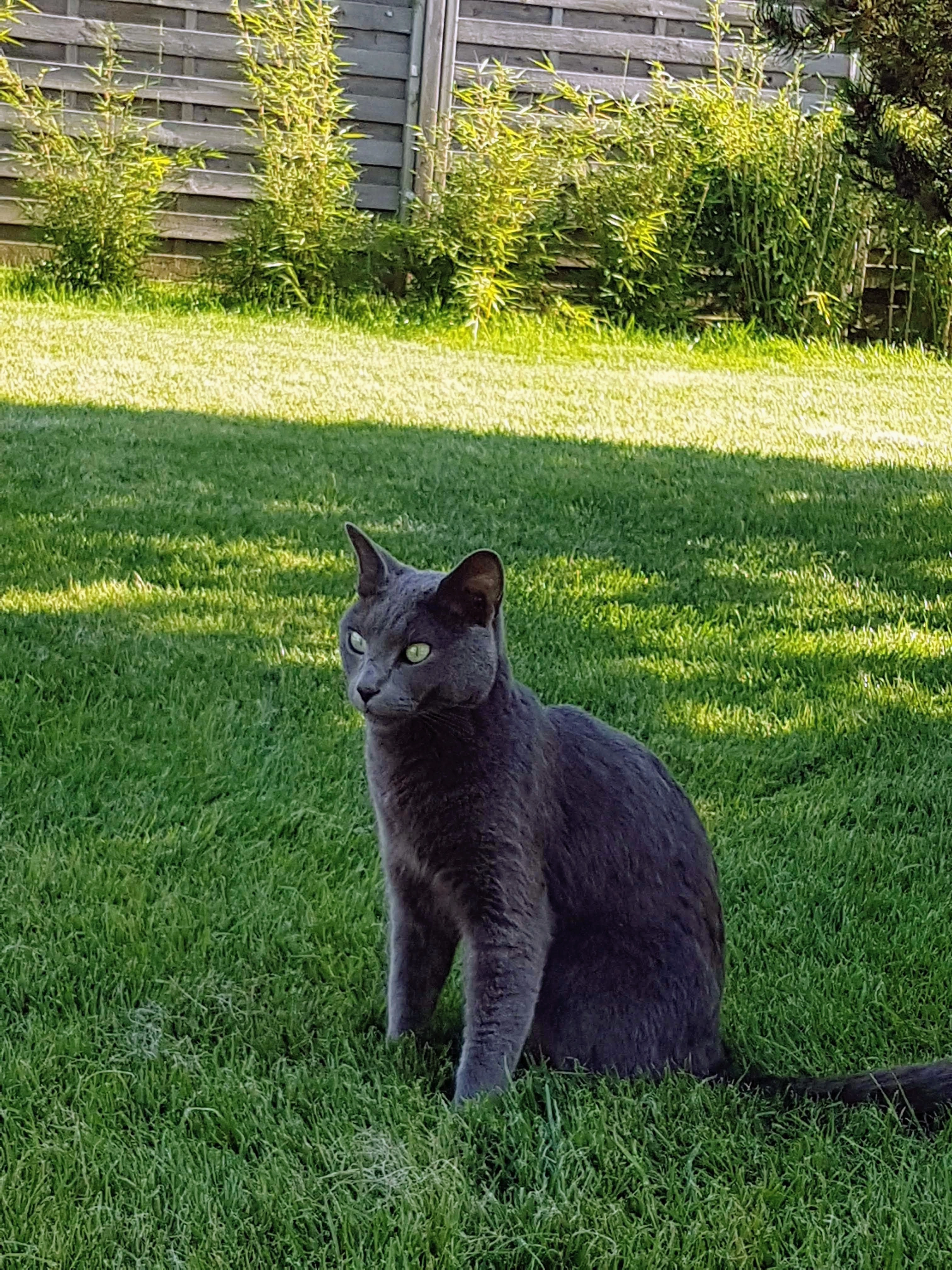 Bobby  - Rosenstraße, Königsbrunn