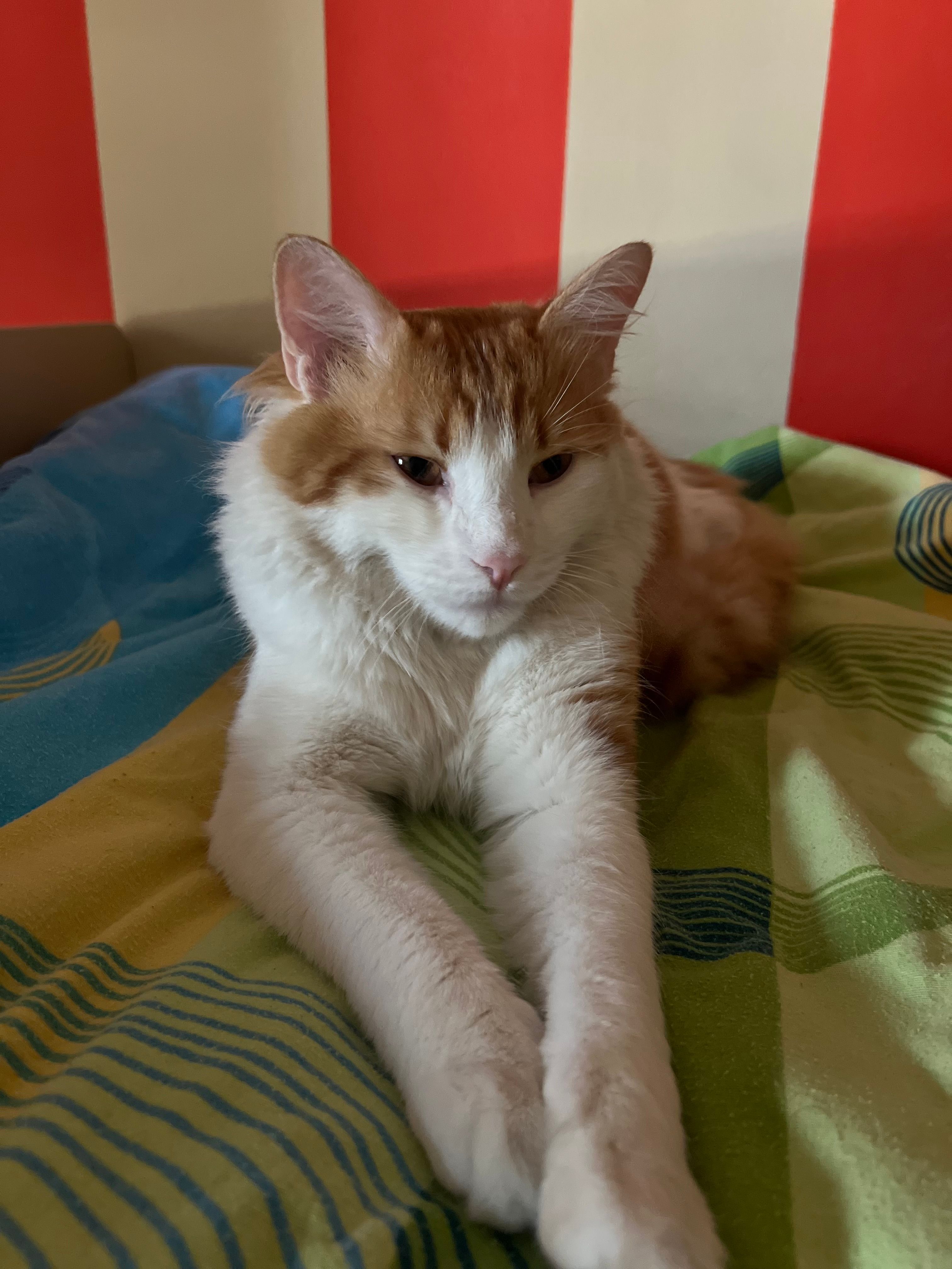 Kira - Adem Sheme, Saranda