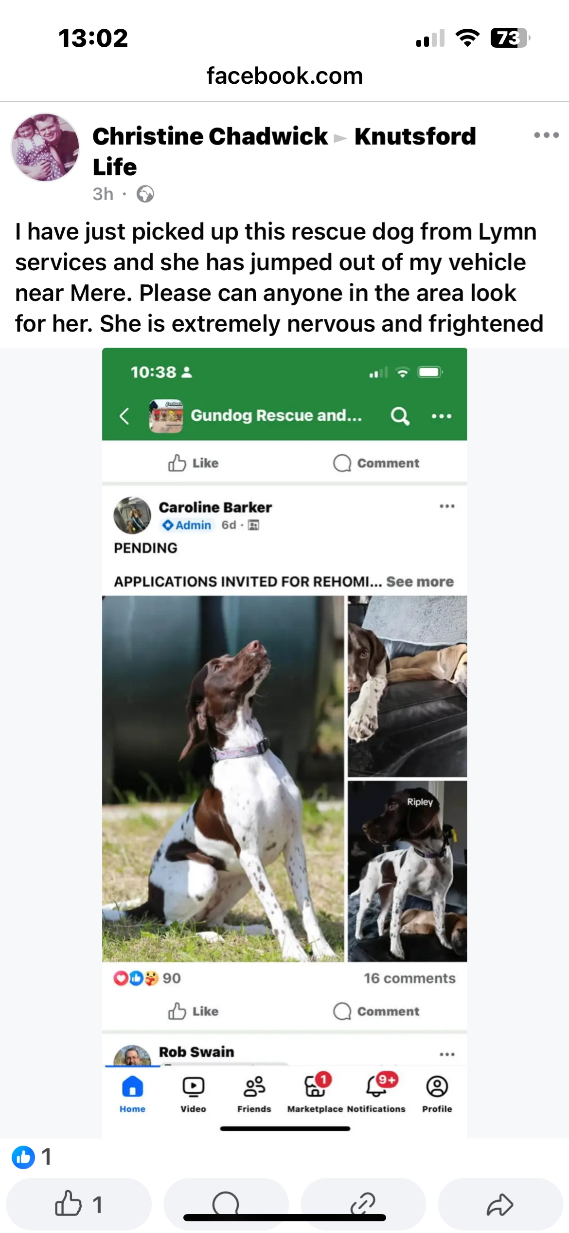 Ripley - WA16 0, Knutsford