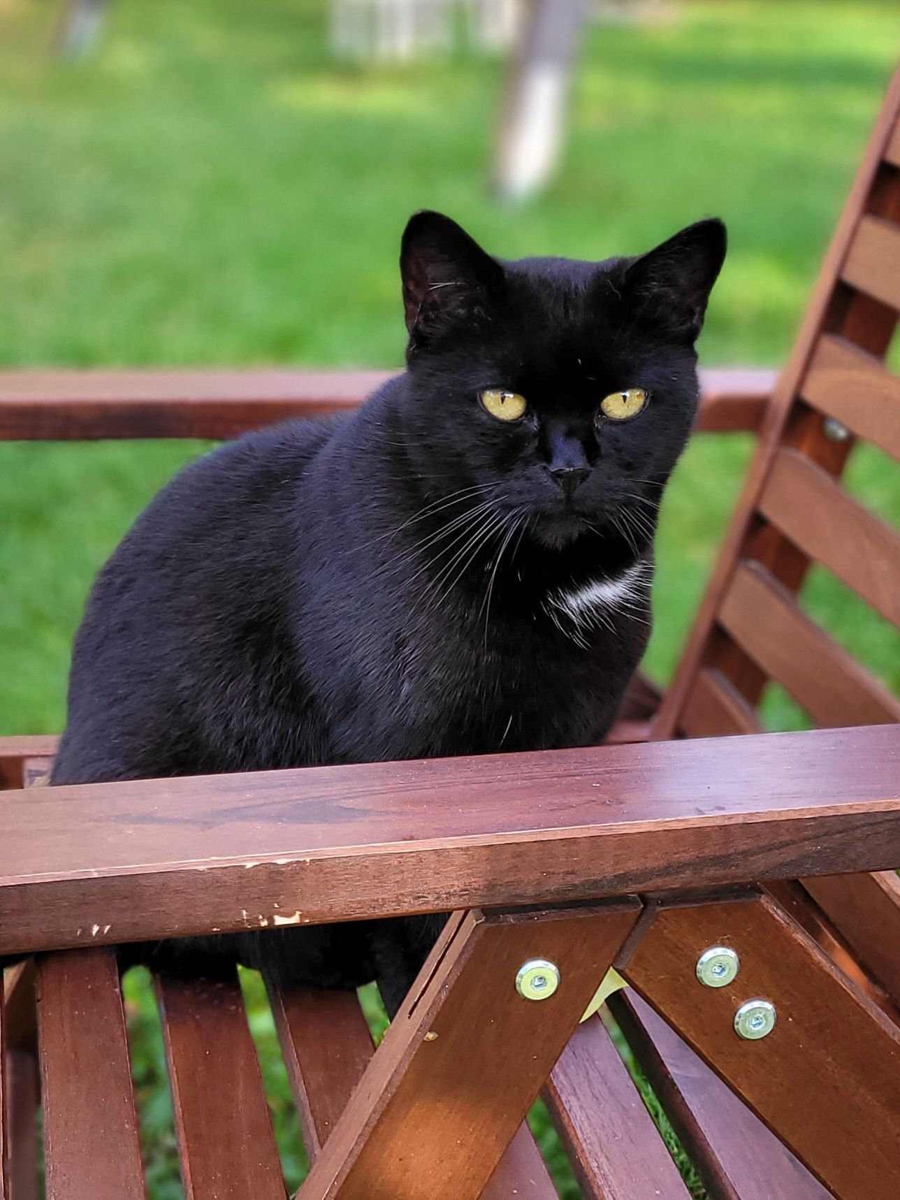 Schatzi - Friedrich-Rückert-Straße, Seßlach