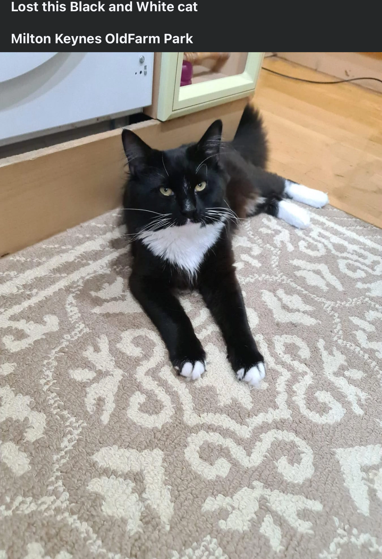 Milo - Novello Croft, Milton Keynes