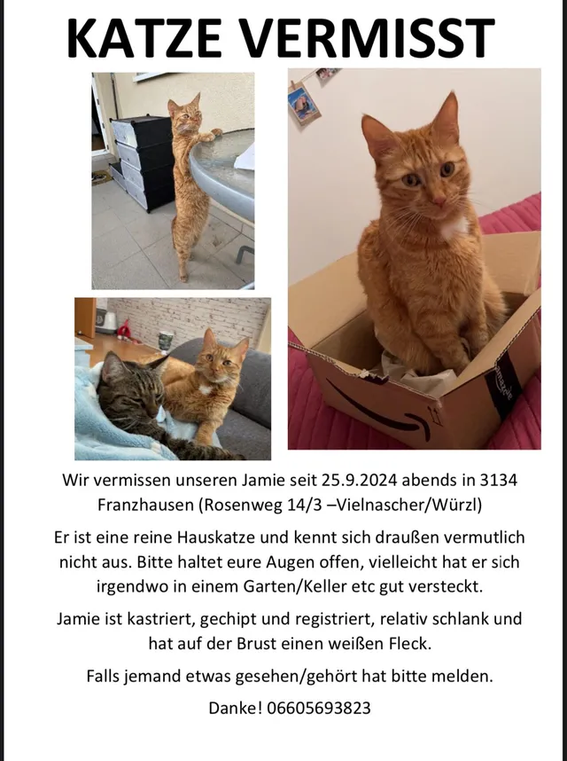Jamie - Rosenweg 14, Nußdorf ob der Traisen