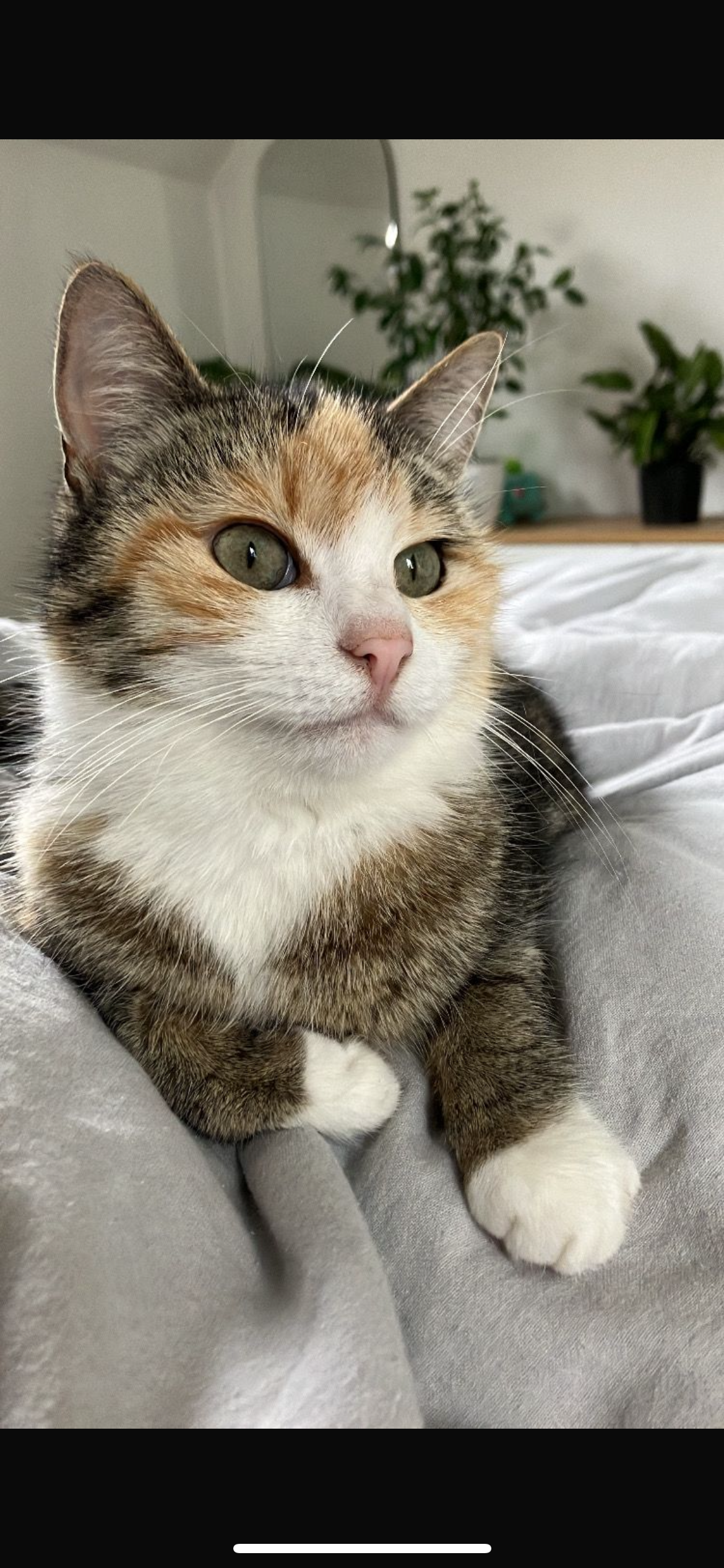 Sharon - Alt Tröstau, Tröstau