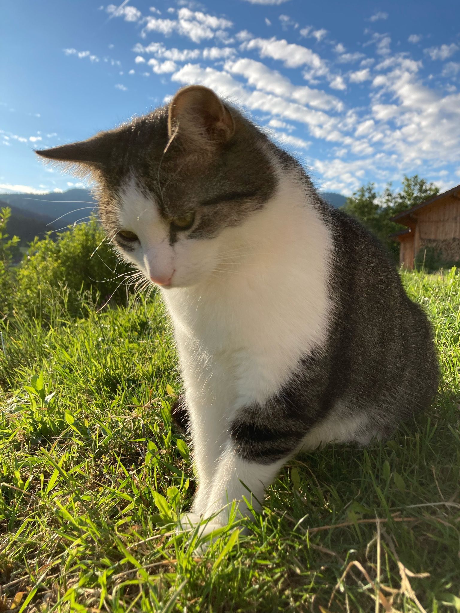 luna - Am Hohenstein, Bernried