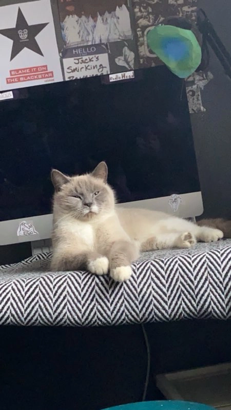 Casper - Lordswood Lane , Chatham