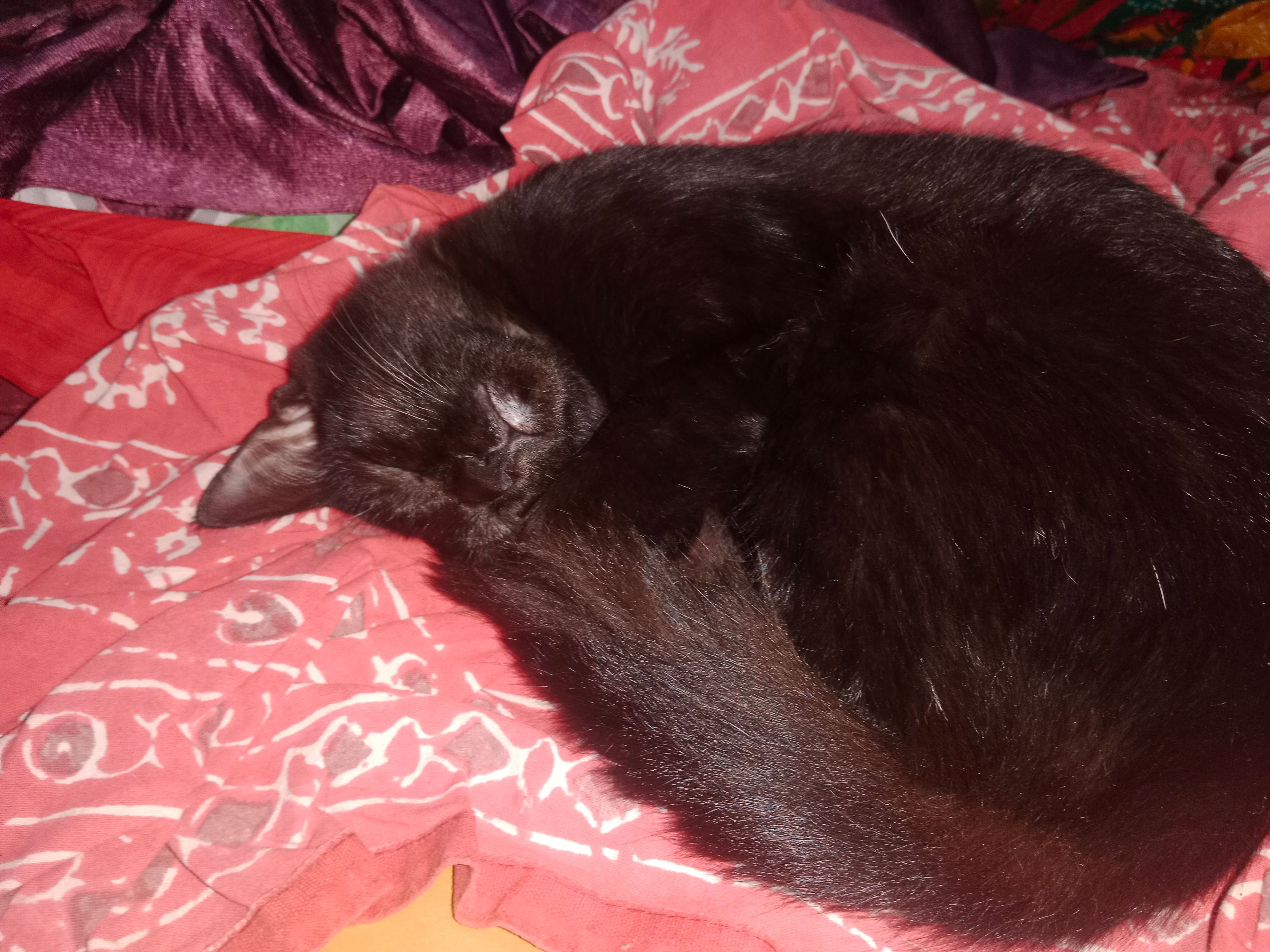 Sukhi  - Mohanrao Shinde Marg, Sangli