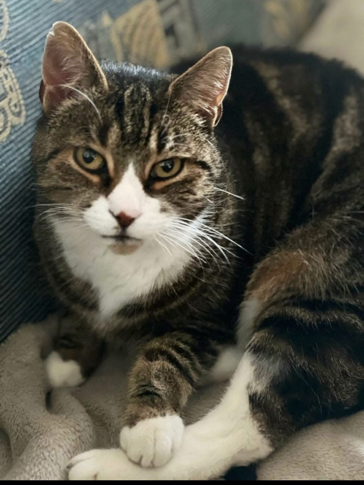 Tilla - Pestalozzistraße, Gera