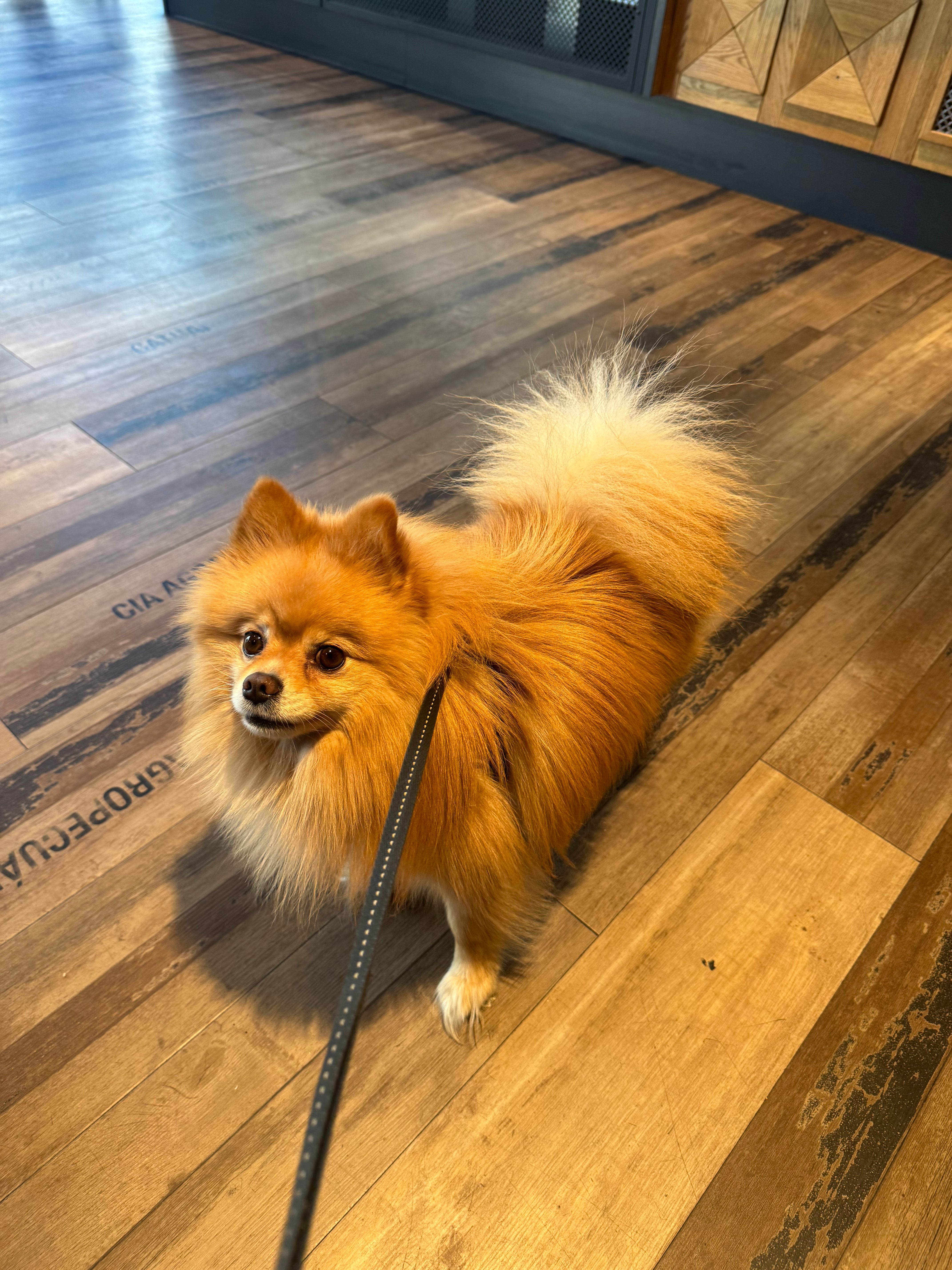 Johnny  - Lauschiger Weg, Karlsruhe