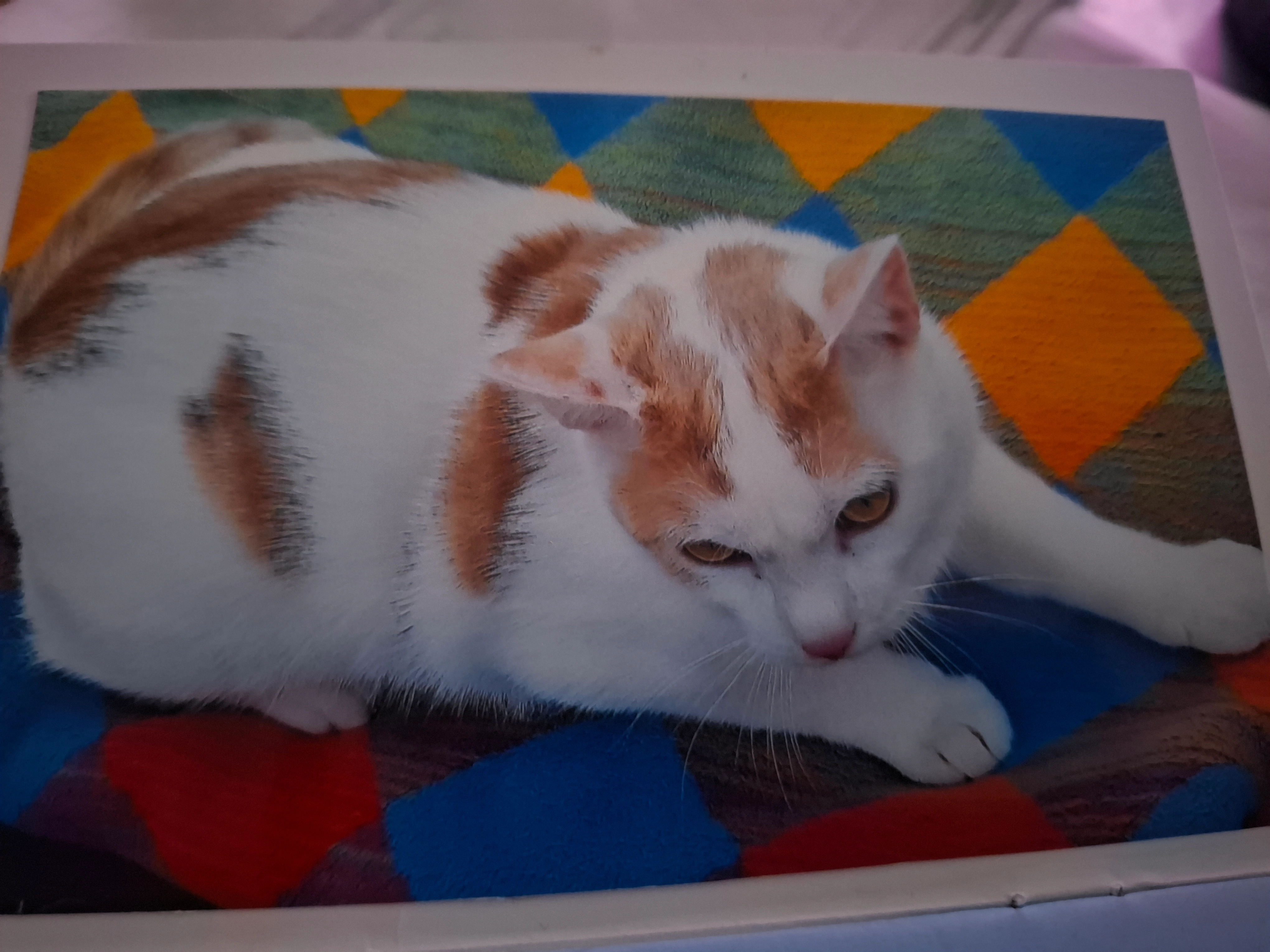 Pistache - Rue Du Baerenthal, Wintzenheim