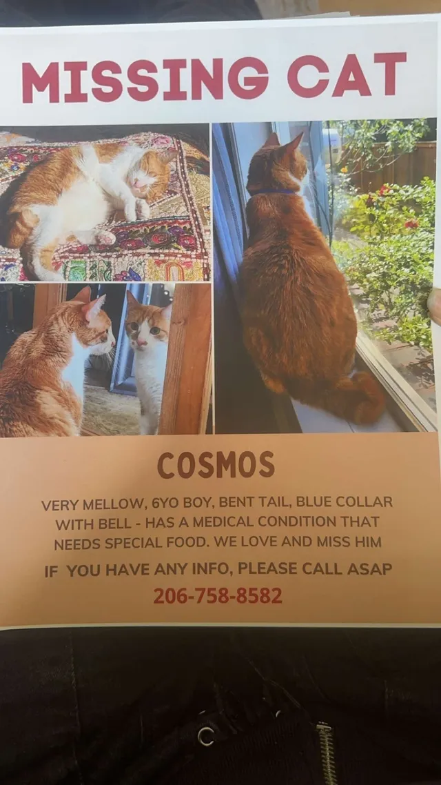 Cosmos - 148th S, Tukwila