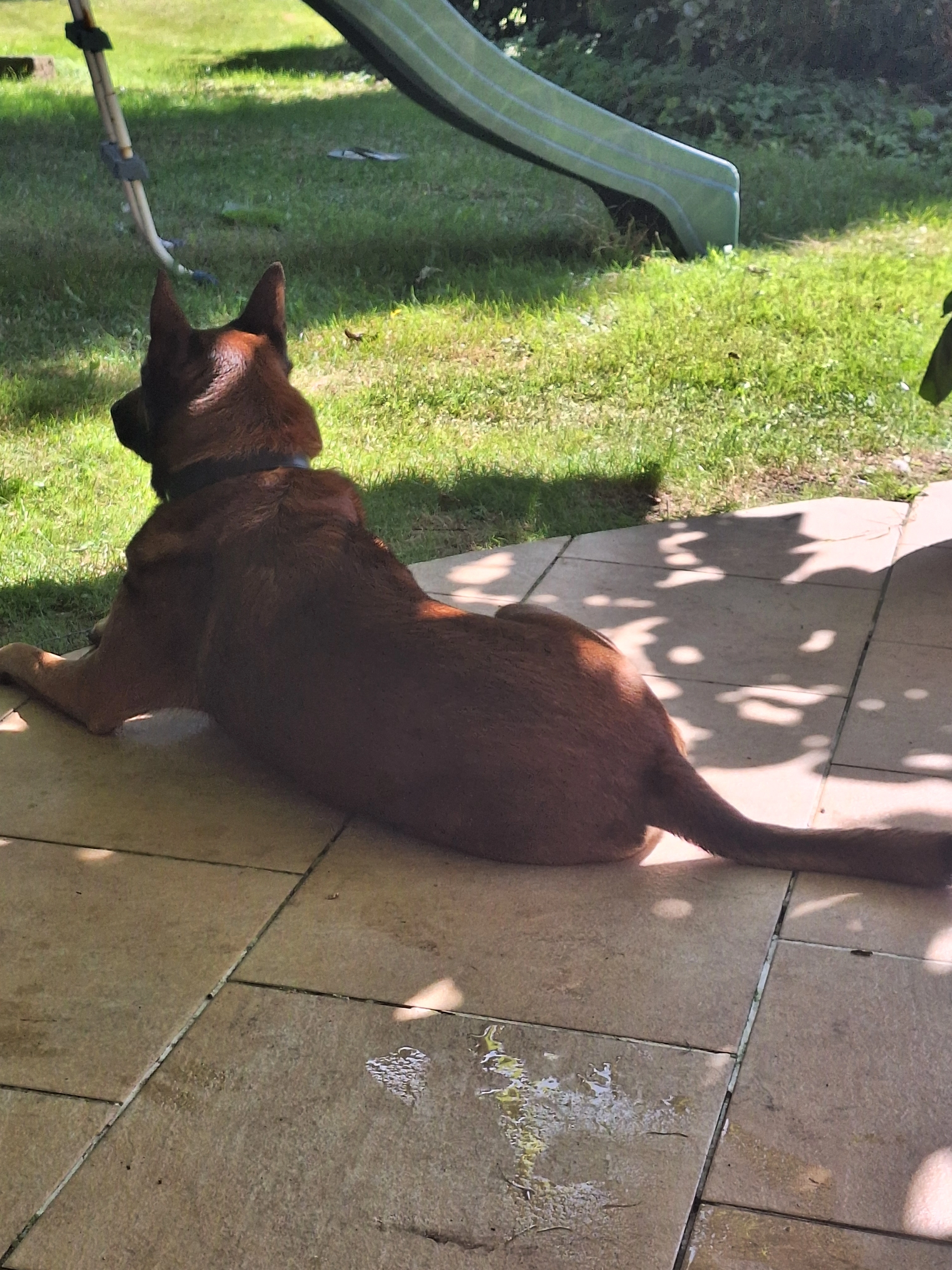 Loki - 9 Rue de l'Église, Tilques