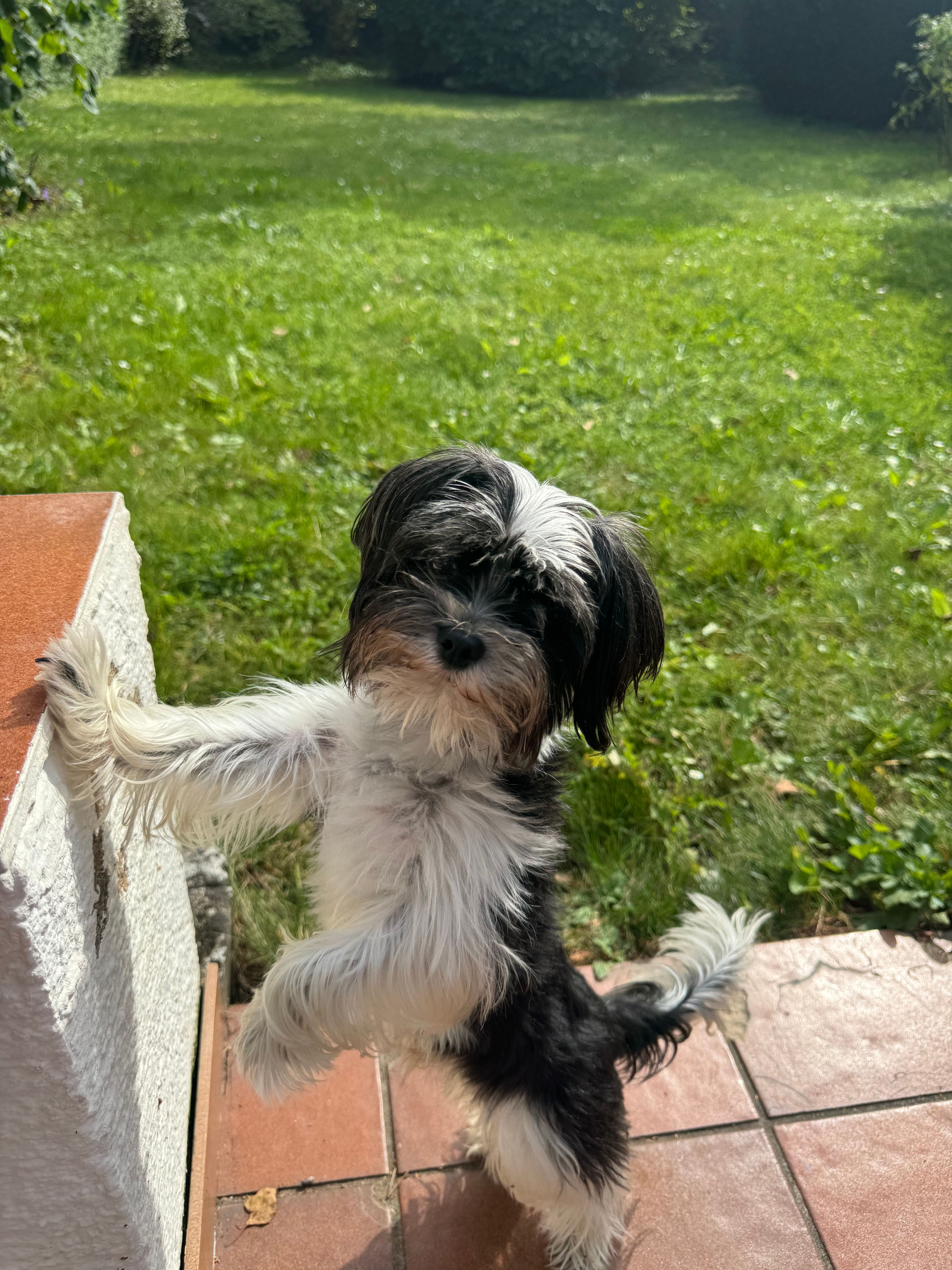 Joy  - Schlesierstraße, Germering